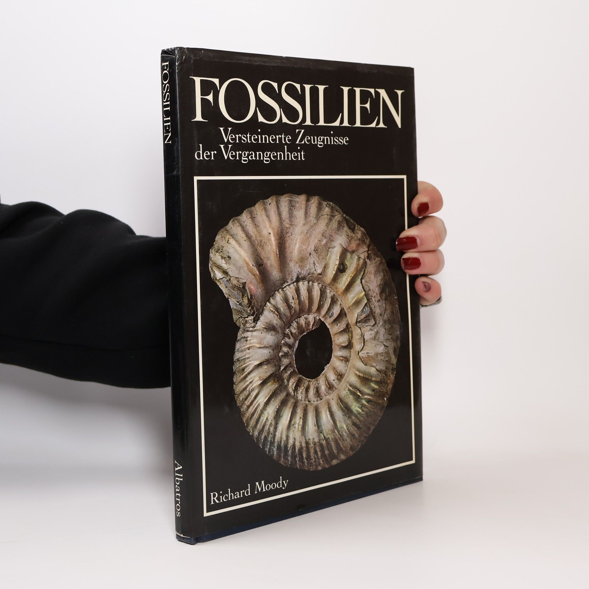 Fossilien. Versteinerte Zeugnisse der Vergangenheit