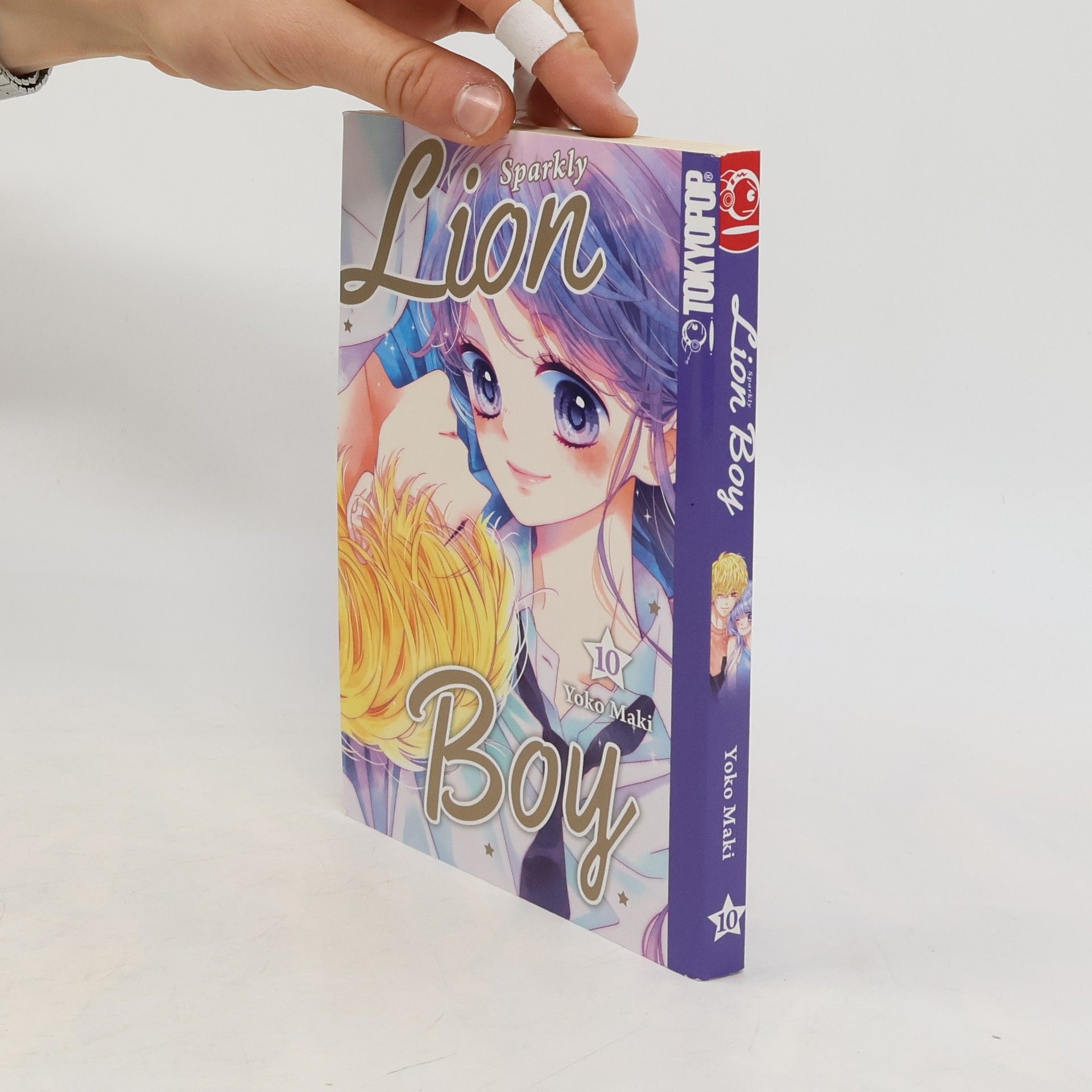 Yōko Maki Sparkly Lion Boy 10