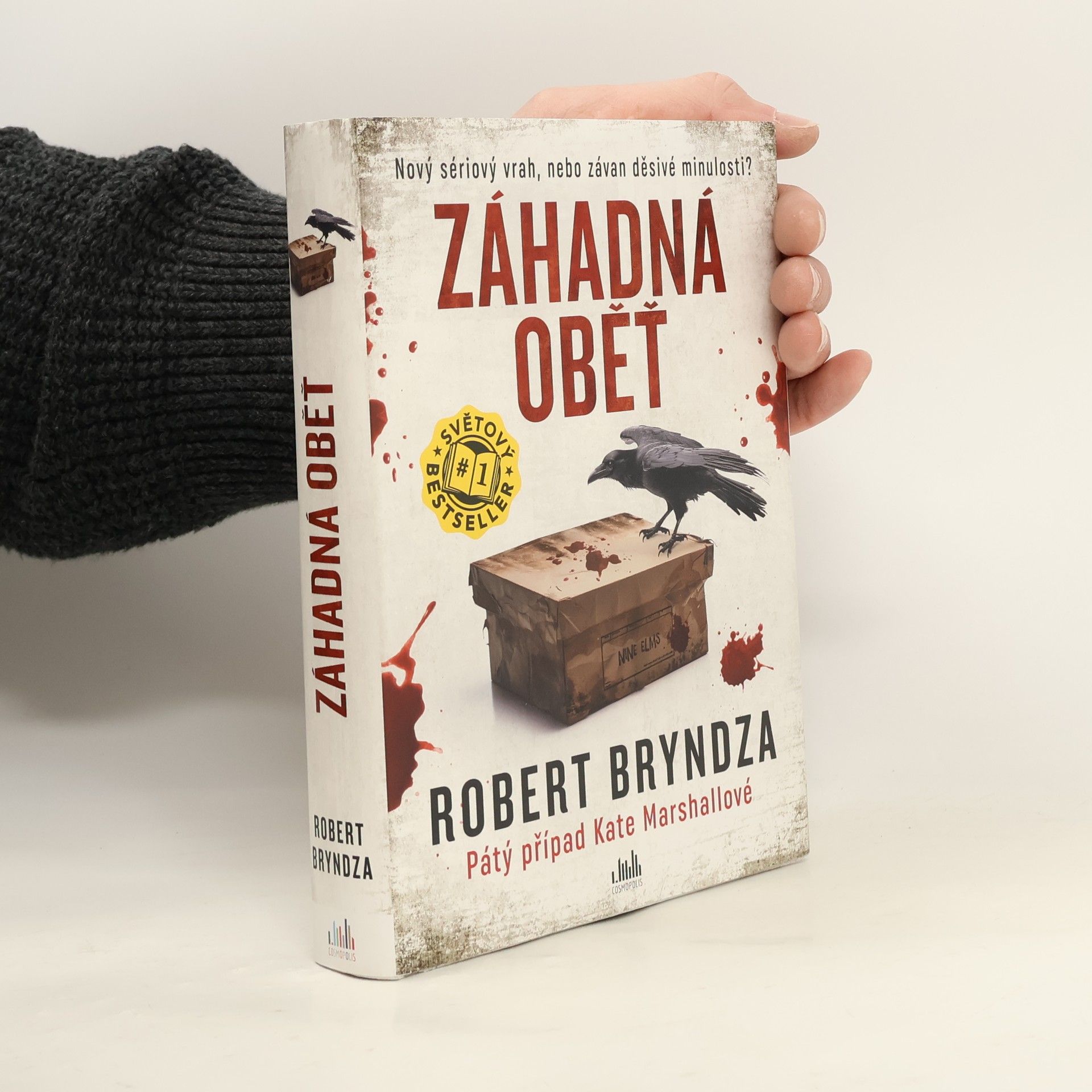 Robert Bryndza Záhadná oběť