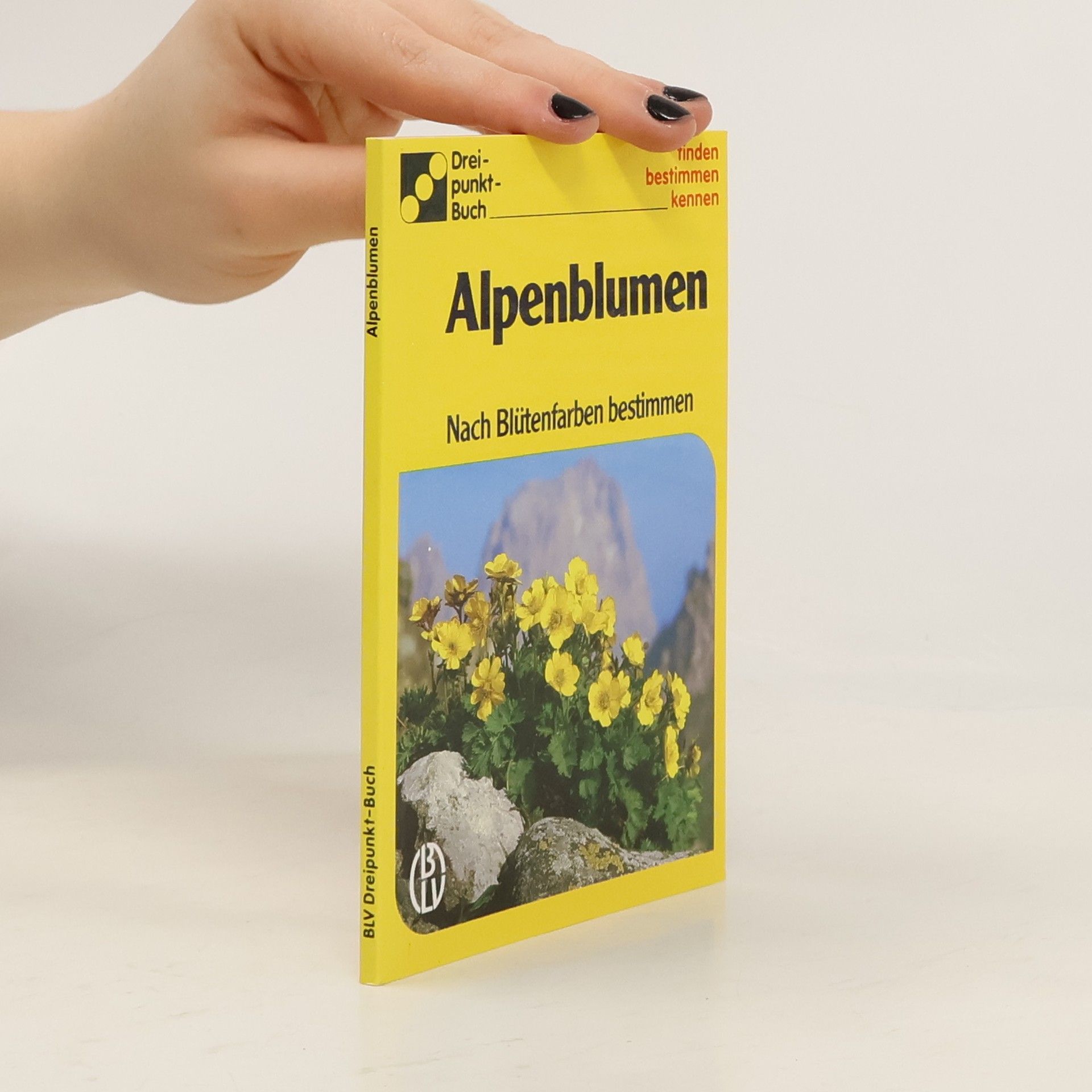 Collectif d'auteurs Alpenblumen