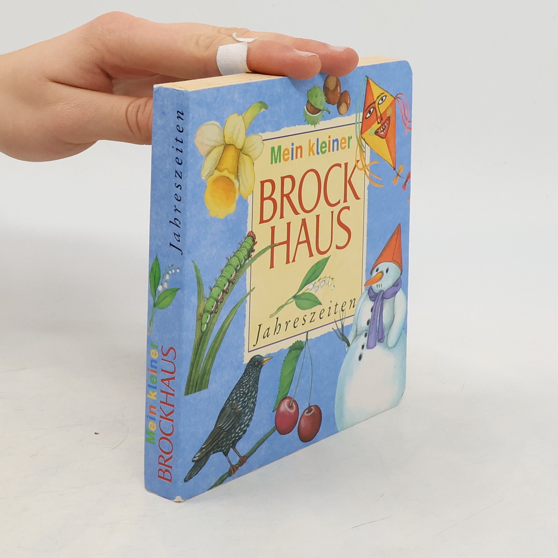 Various authors Mein kleiner Brockhaus. Jahreszeiten