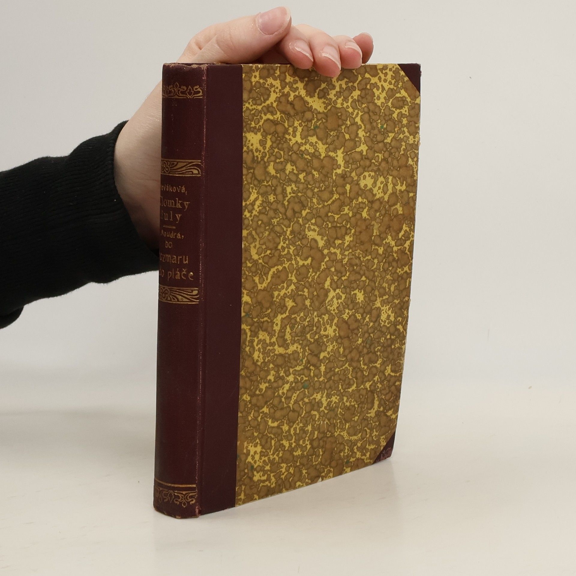 Teréza Nováková Úlomky žuly