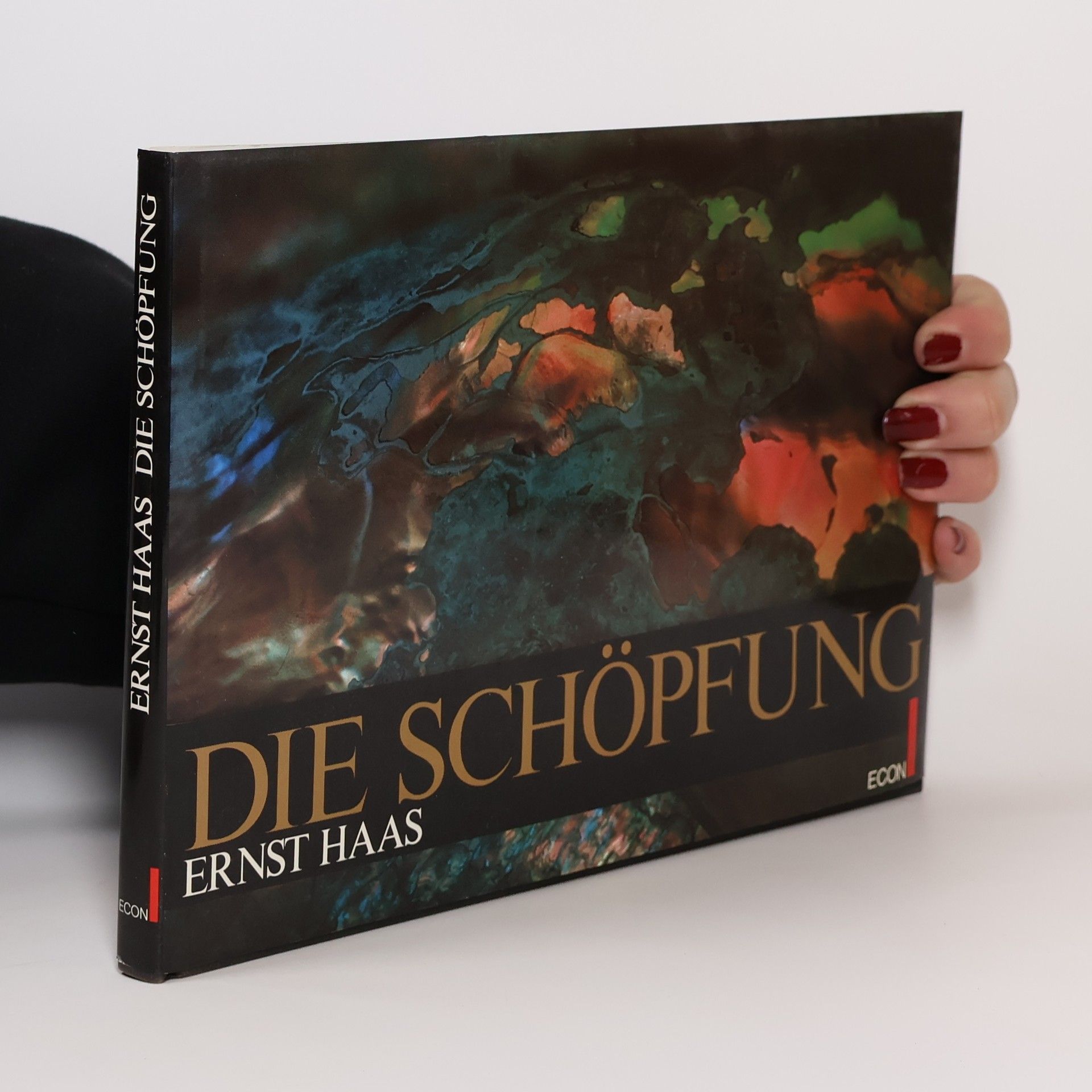 Die Schöpfung