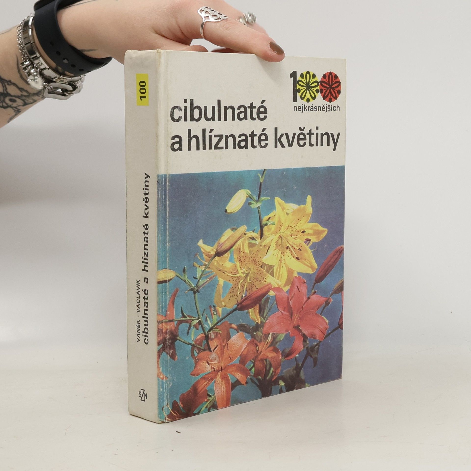 Cibulnaté a hlíznaté květiny