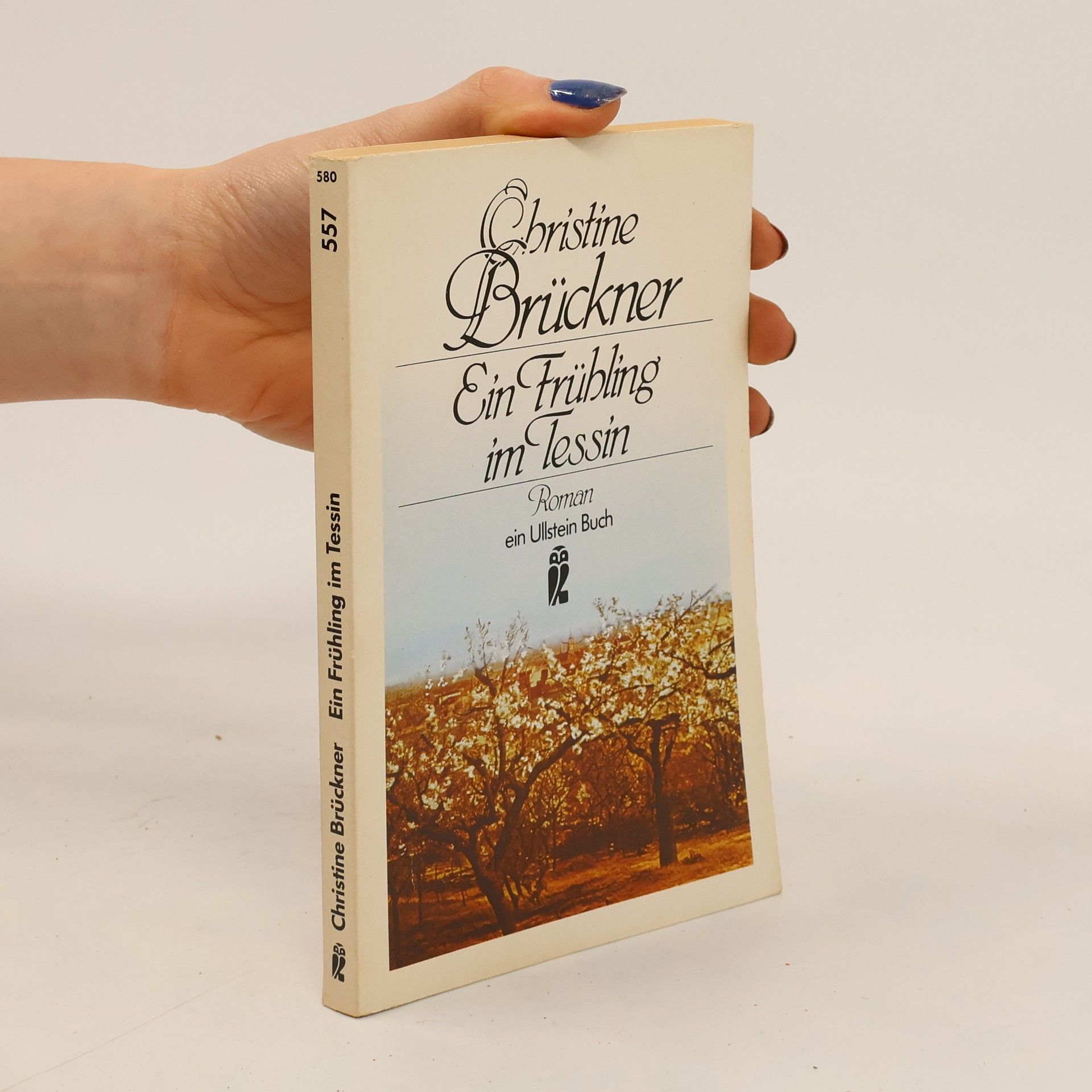 Christine Brückner Ein Frühling im Tessin
