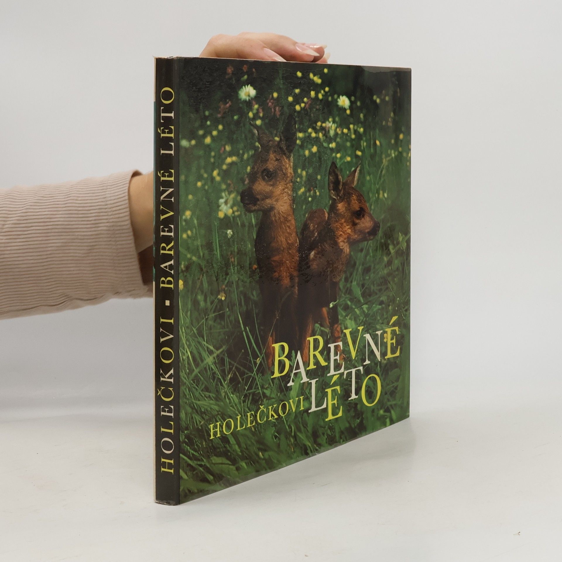 Jaroslav Holeček Barevné léto