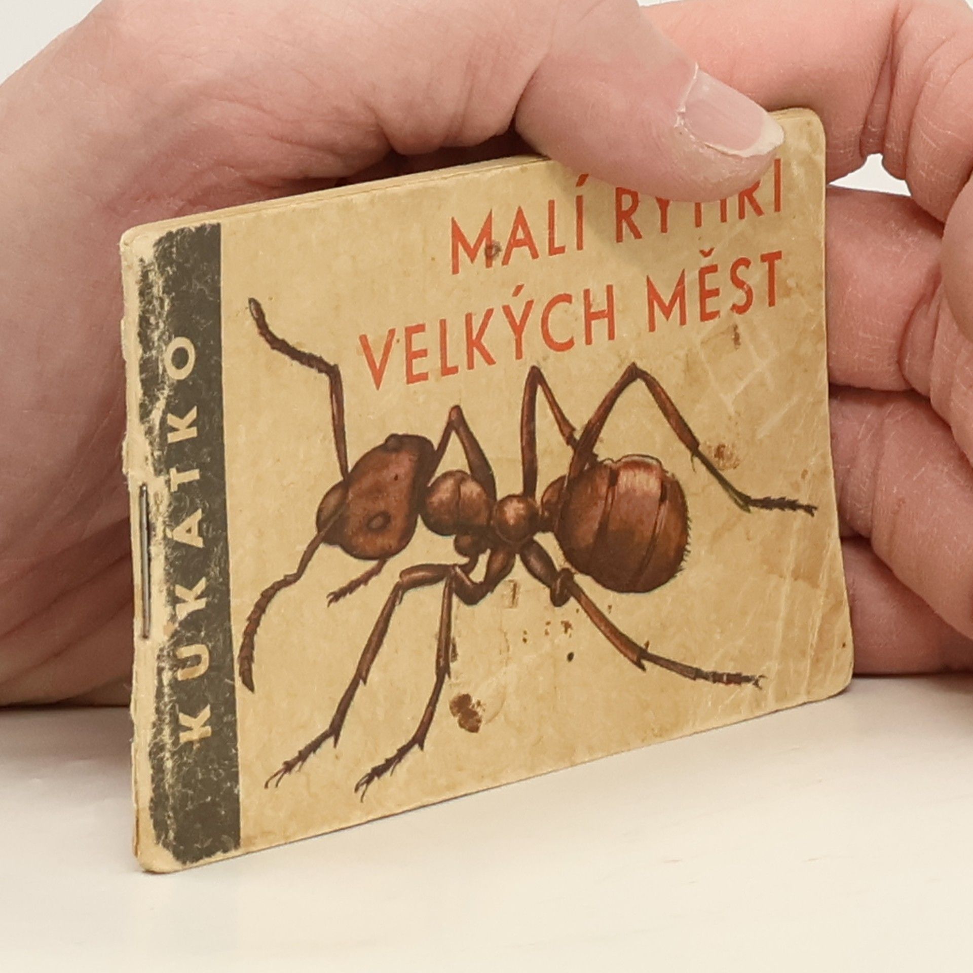 Ludvík Souček Malí rytíři velkých měst