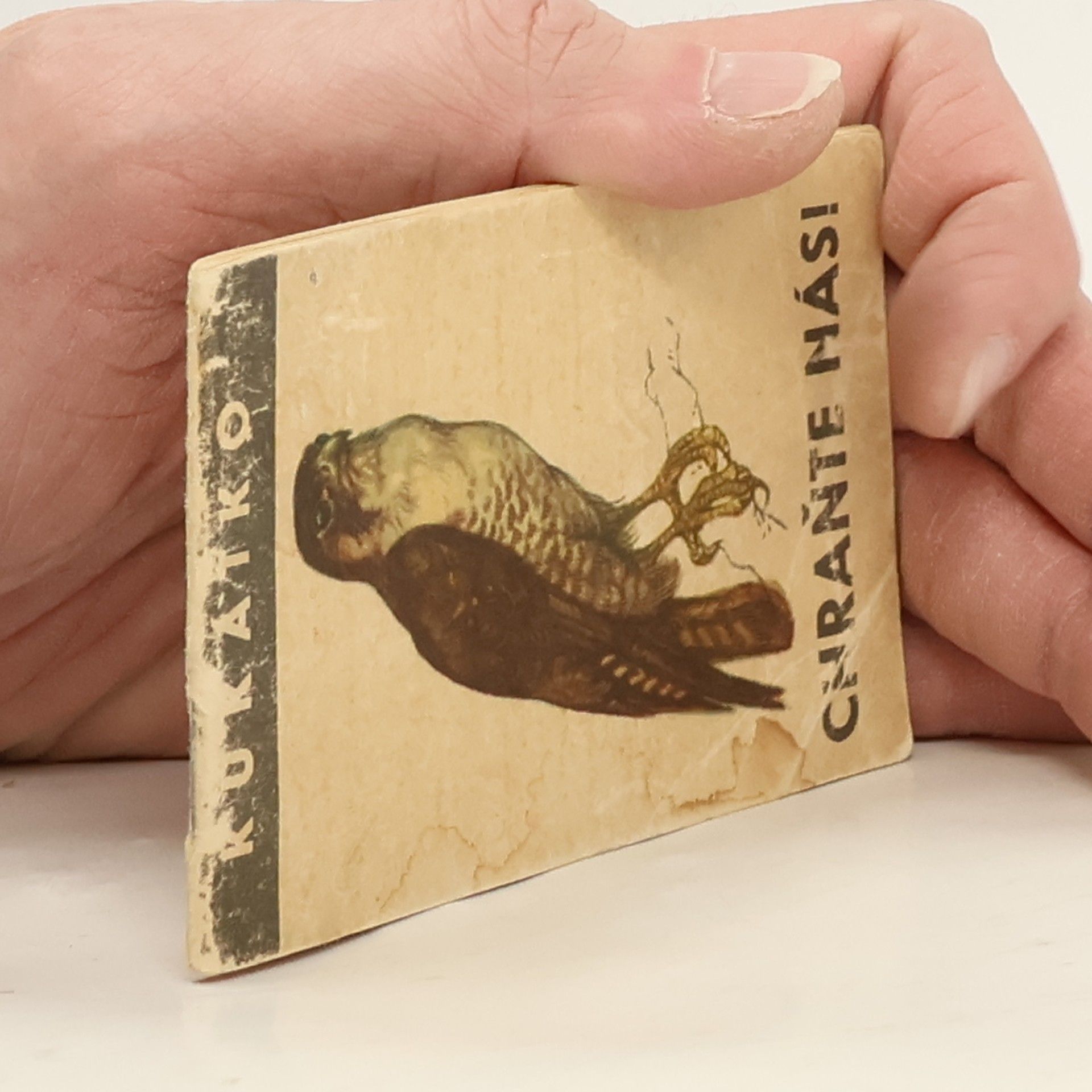 Jaroslav Krejčí Chraňte nás! (Ptáci)