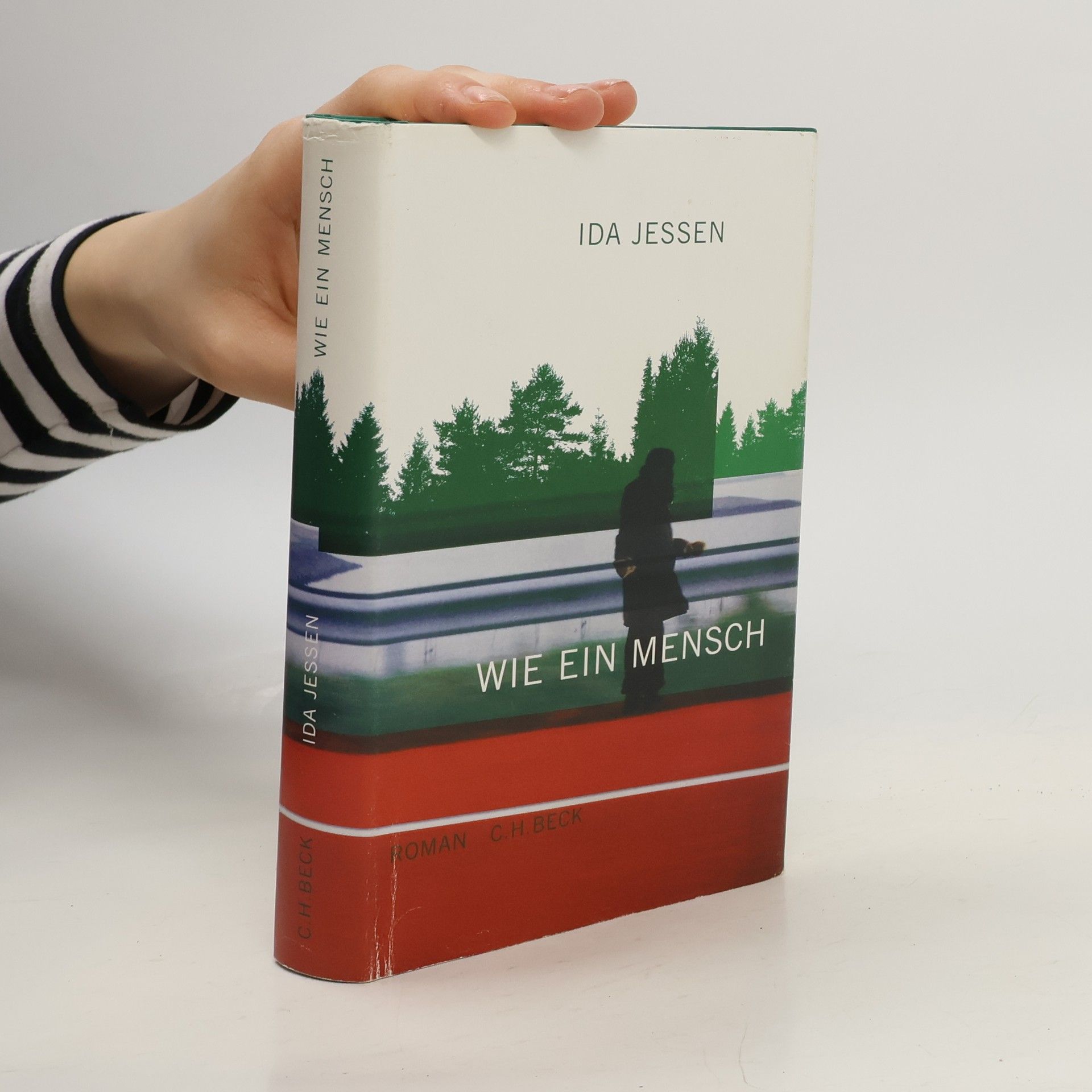 Ida Jessen Wie ein Mensch