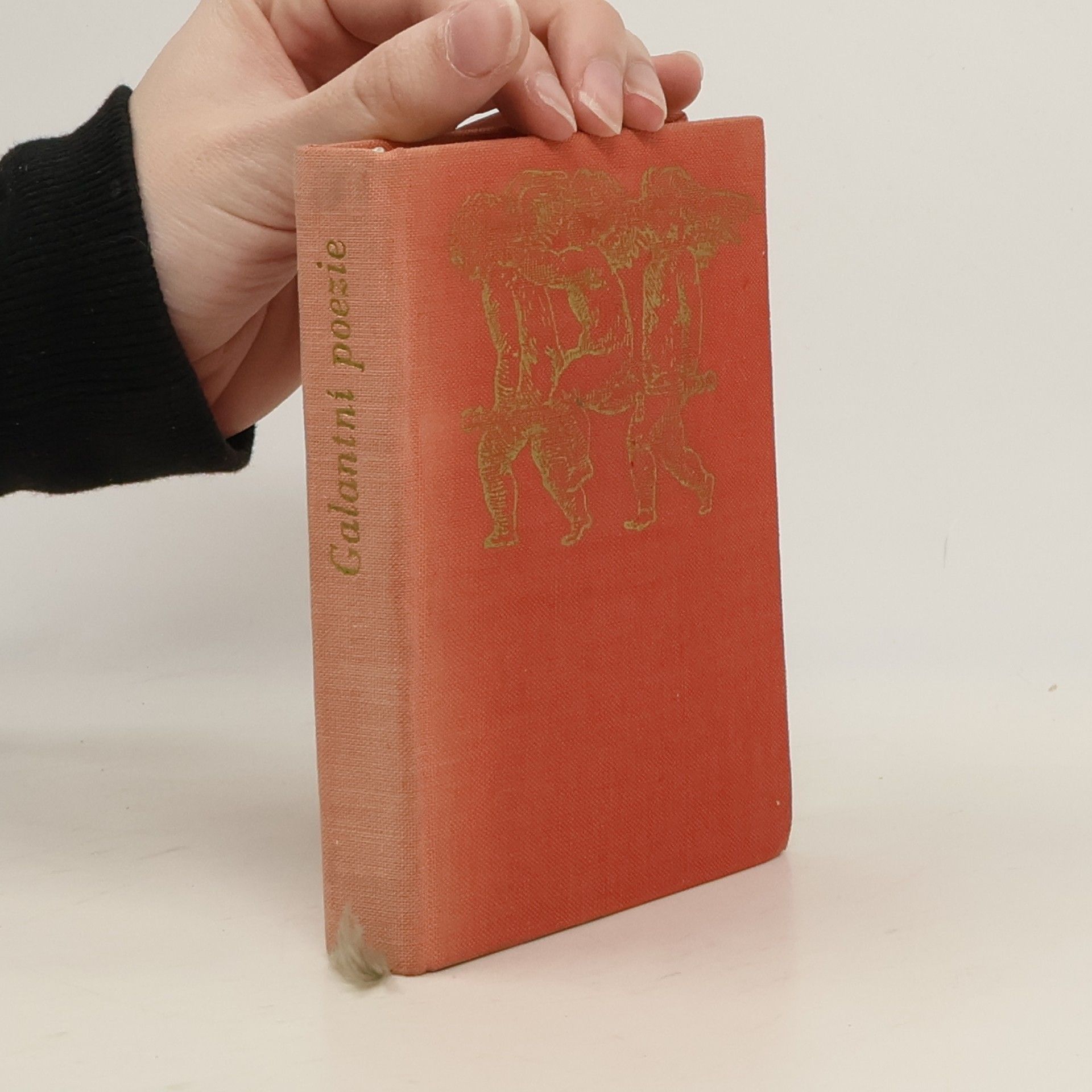 Kolektív autorov Galantní poezie