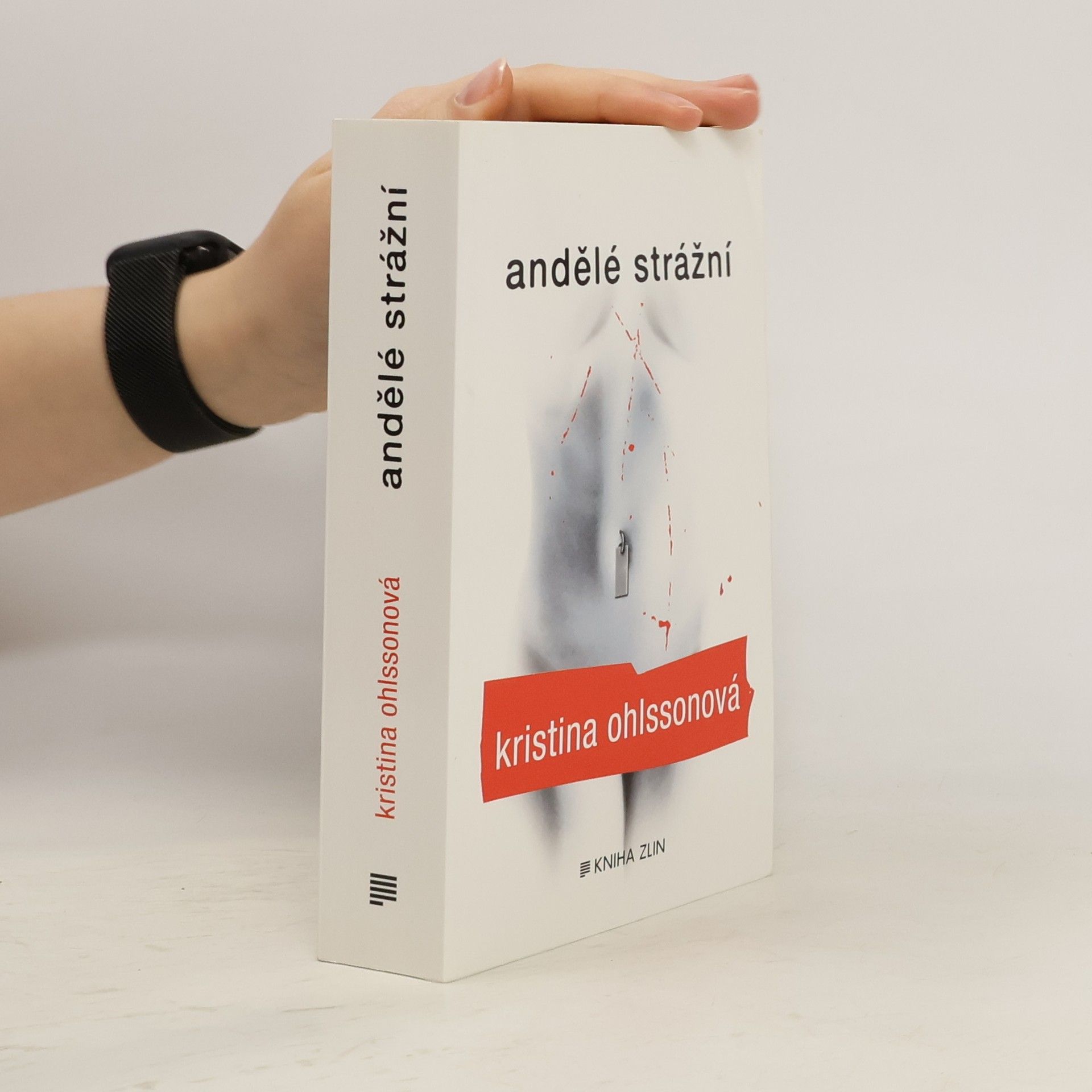 Kristina Ohlsson Andělé strážní