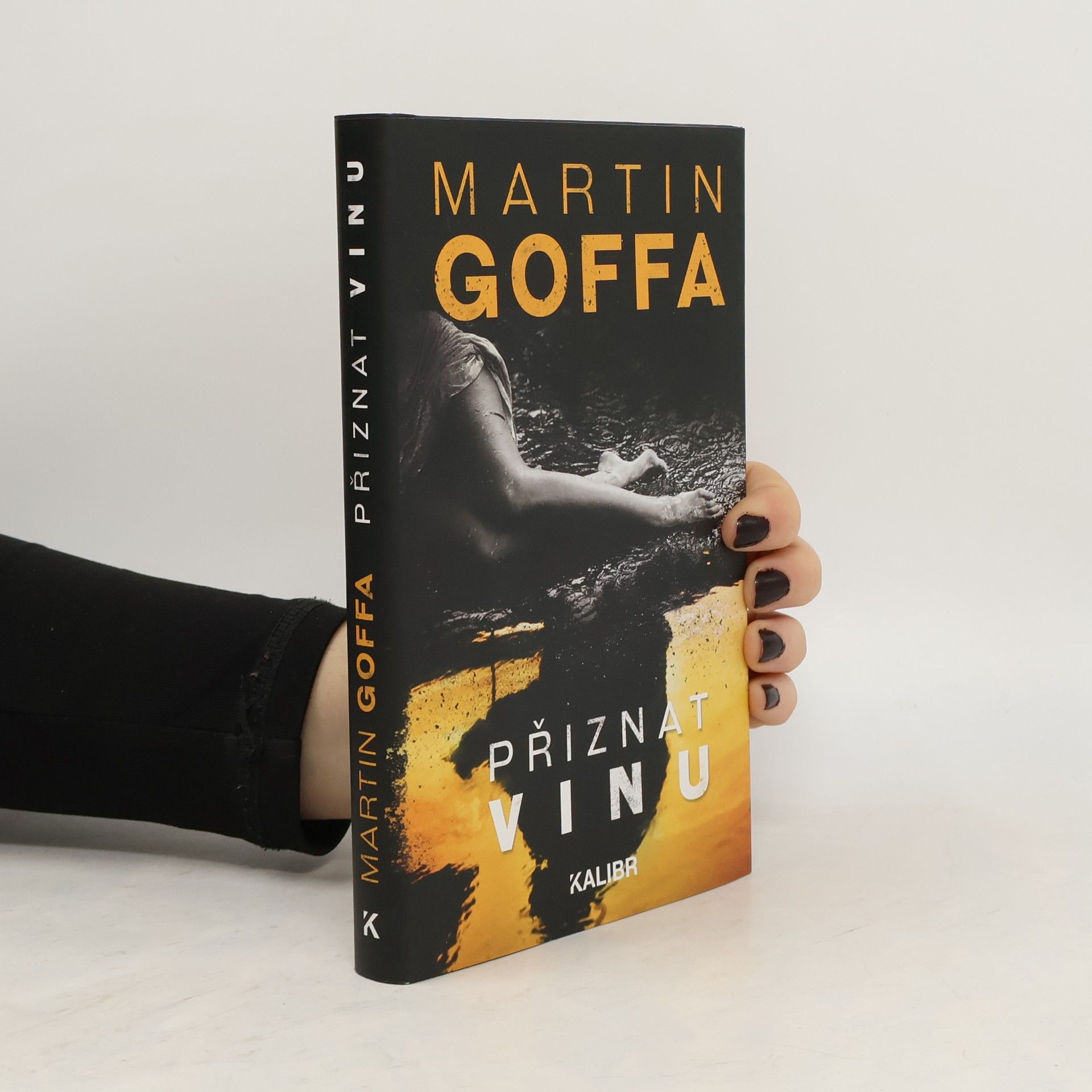 Martin Goffa Přiznat vinu