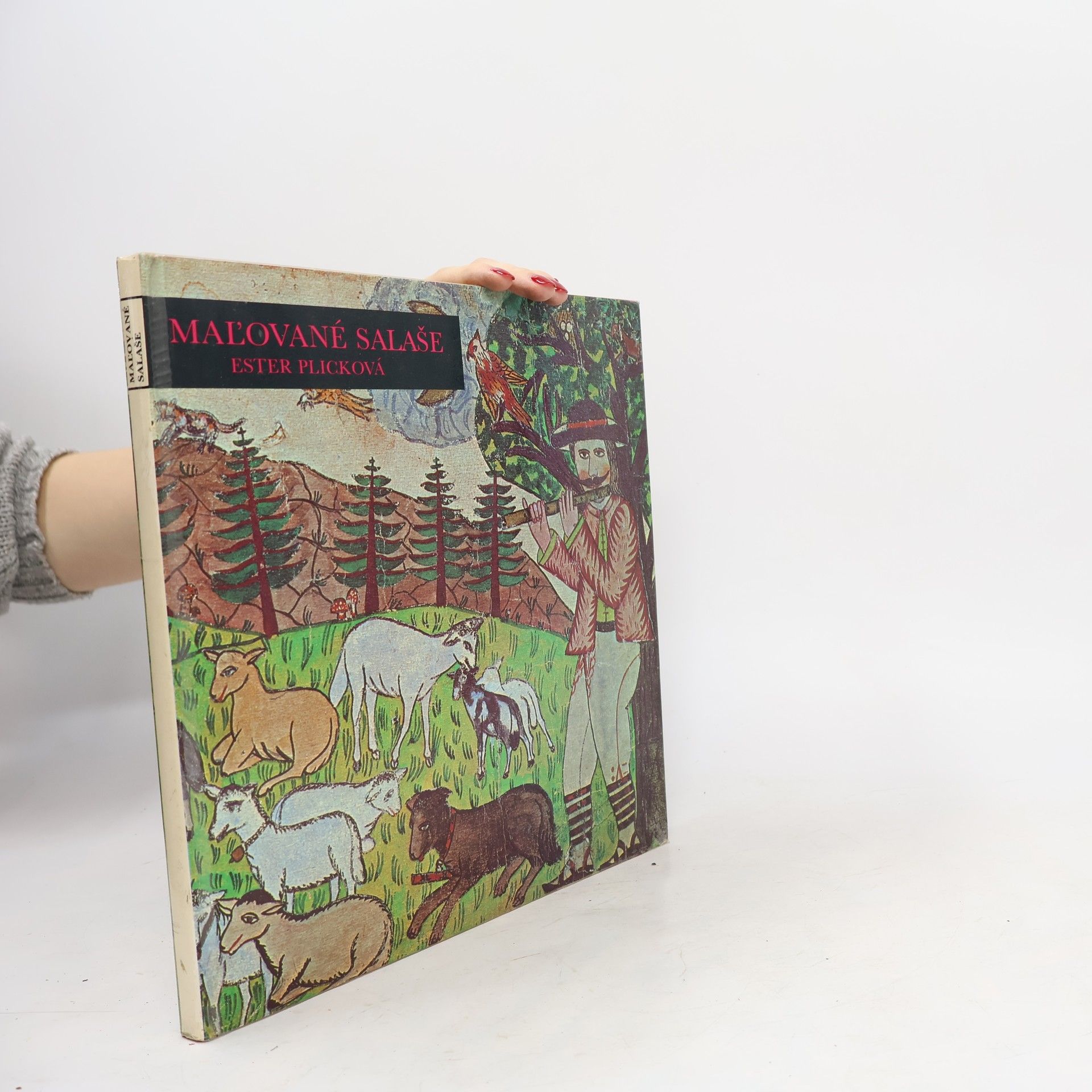 Plicková Ester Maľované salaše