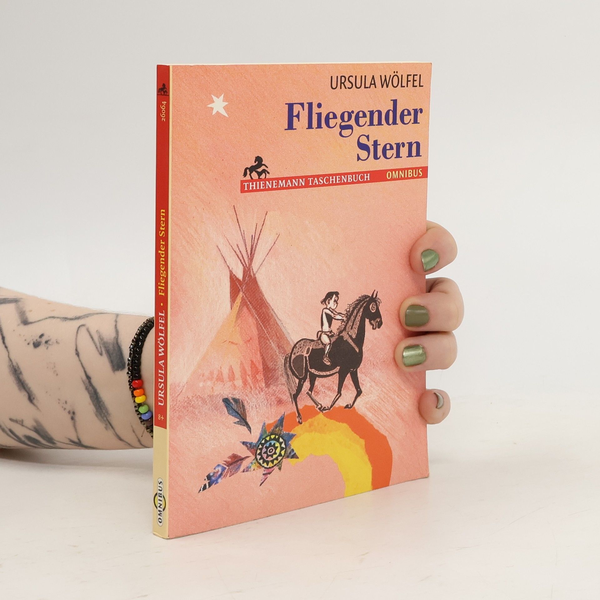 Ursula Wölfel Fliegender Stern