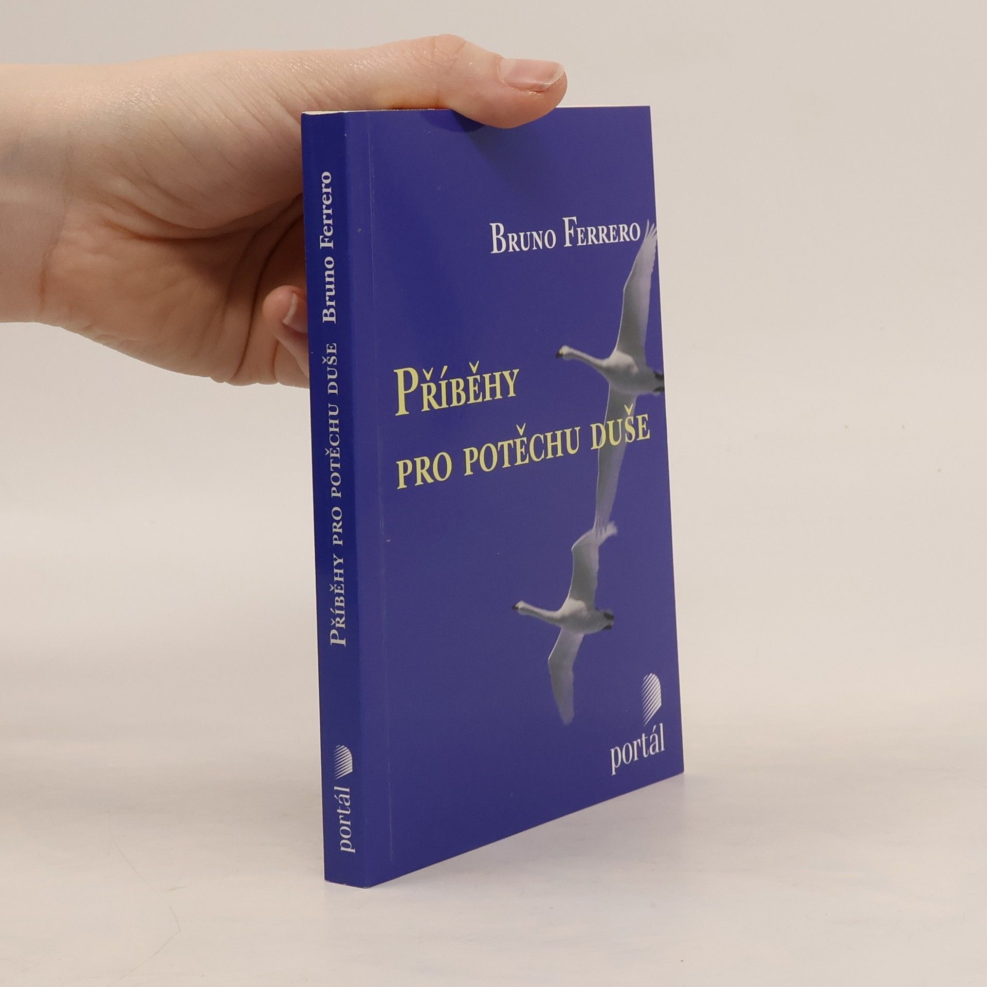 Bruno Ferrero Příběhy pro potěchu duše