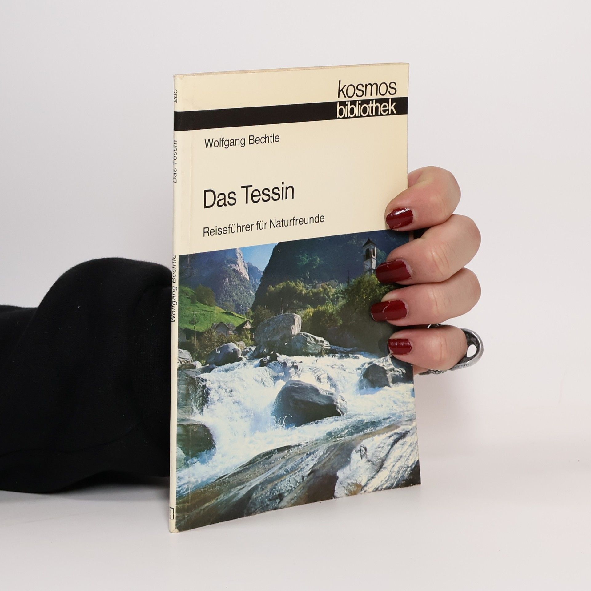 Wolfgang Bechtle Das Tessin