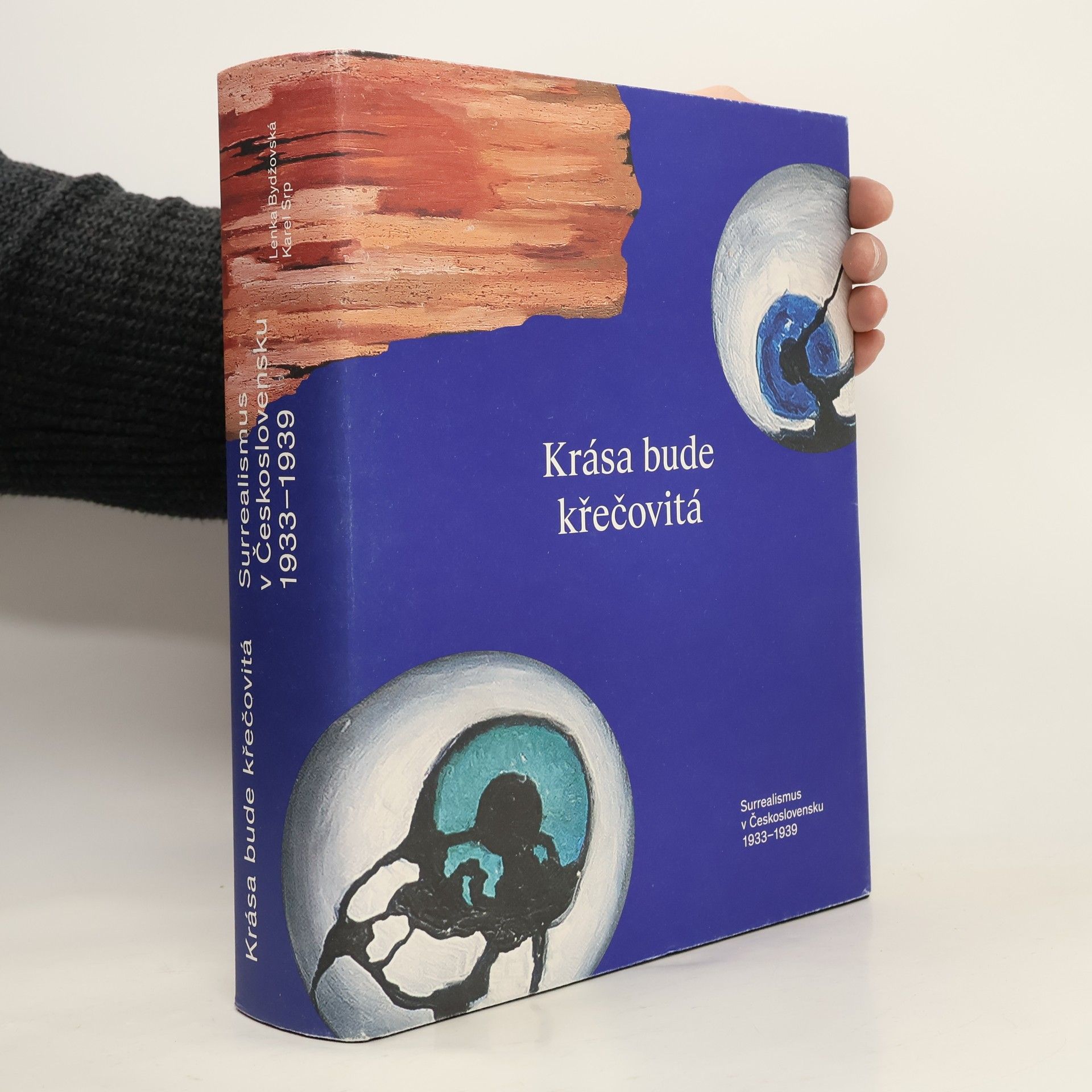 Autorenkollektiv Krása bude křečovitá