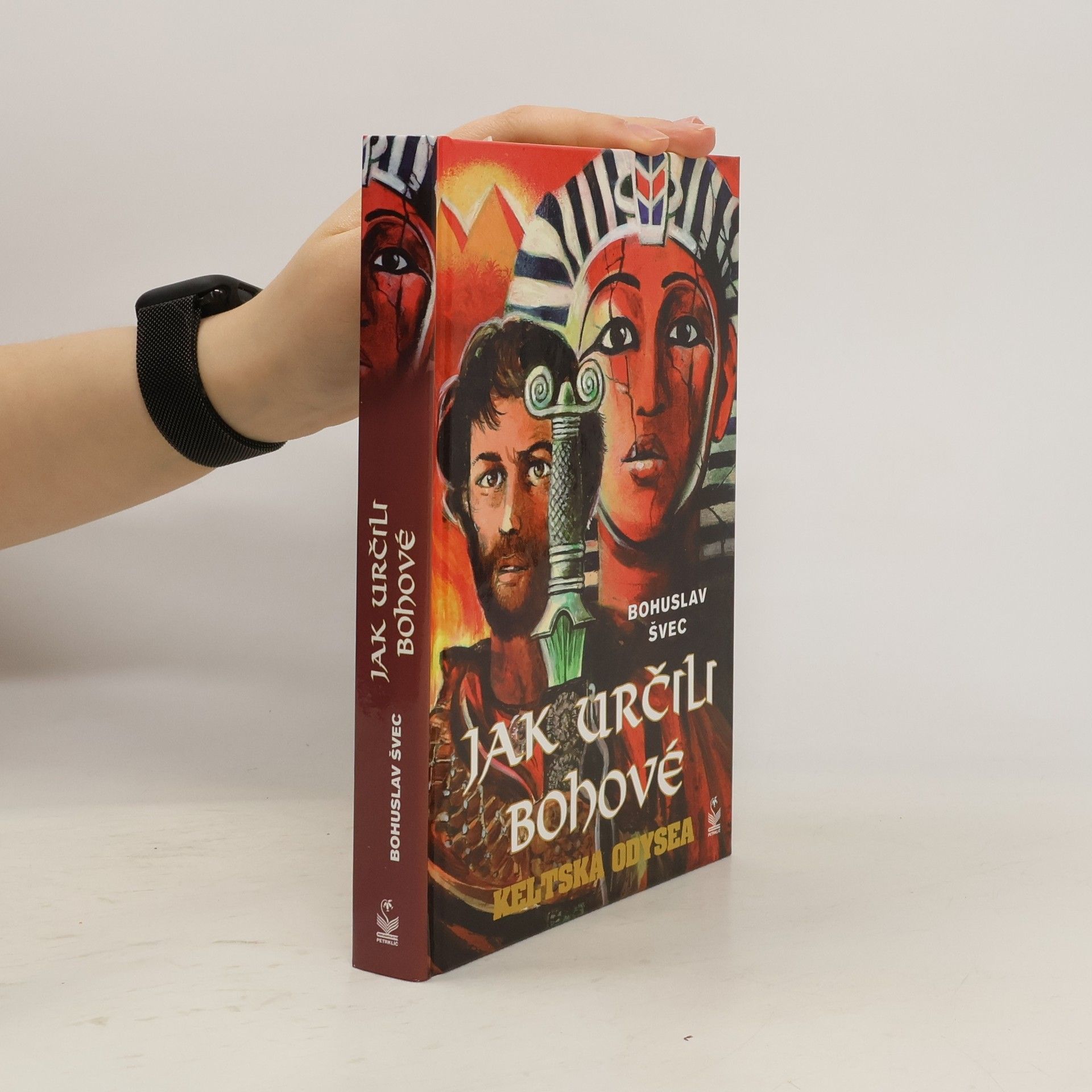 Jak určili bohové. Keltská odysea