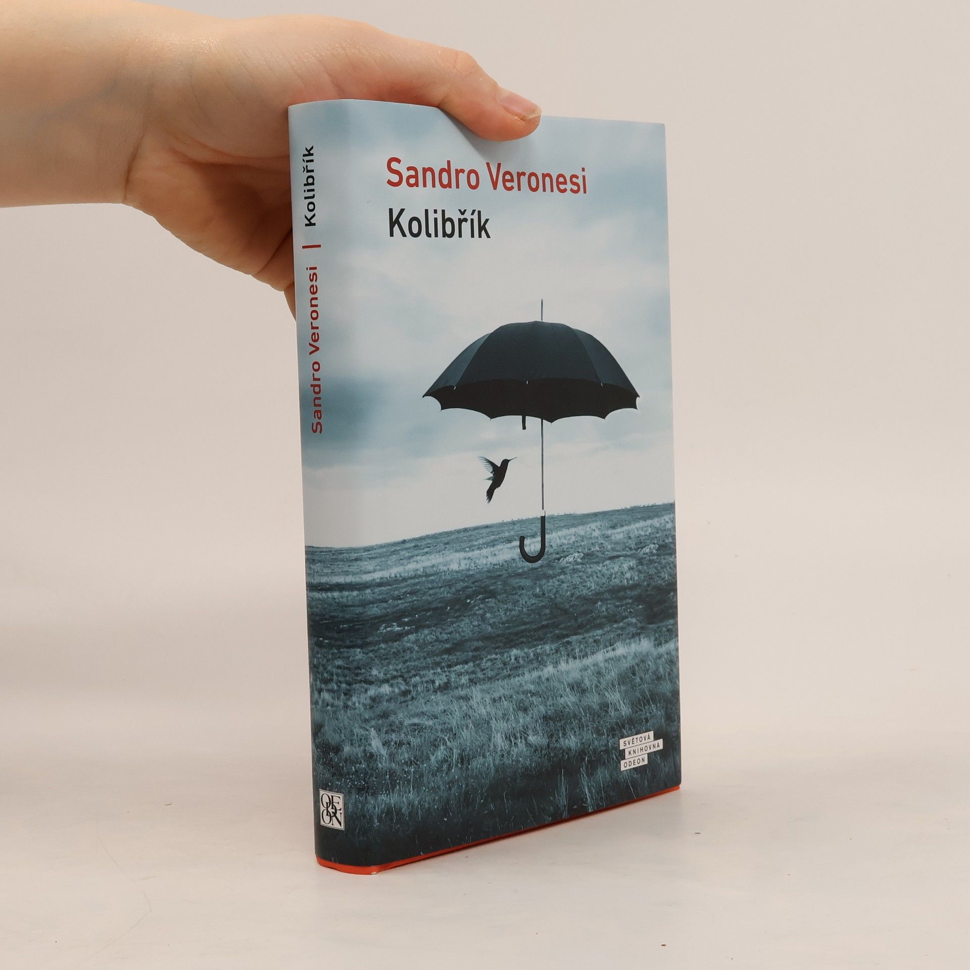 Sandro Veronesi Kolibřík