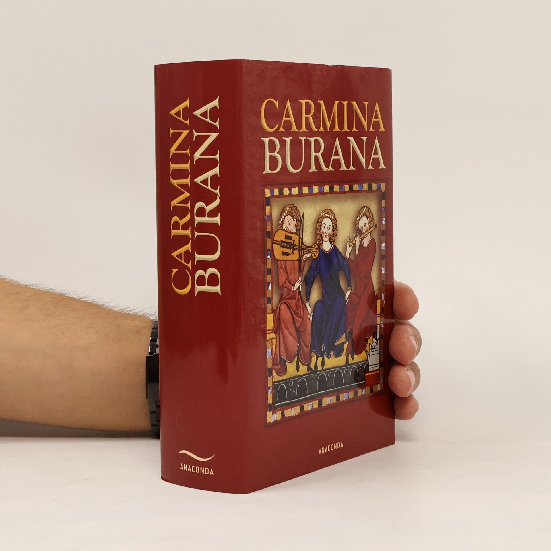 Matthias Hackemann Carmina Burana