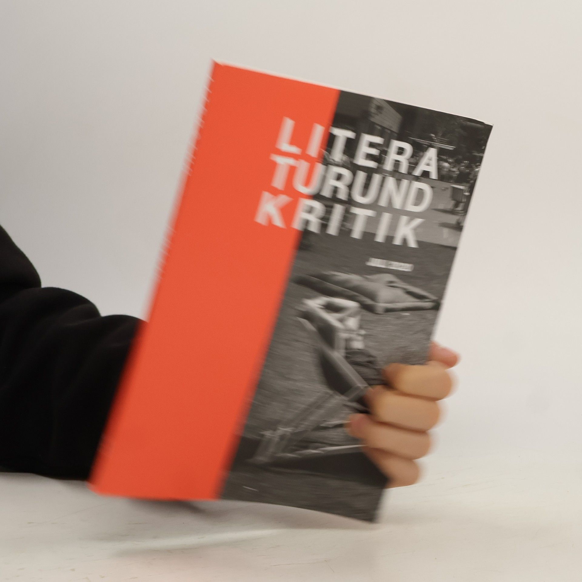 Collectif d'auteurs Literatur und Kritik