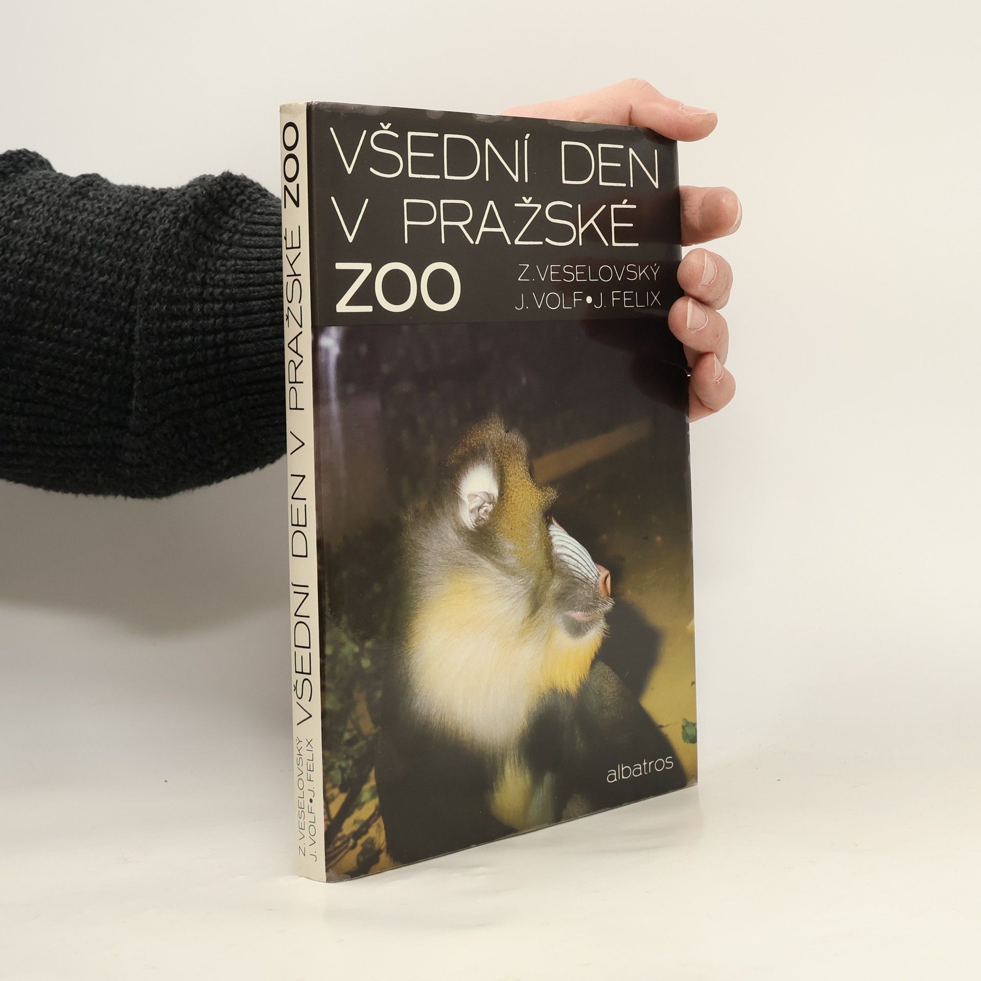 Zdeněk Veselovský Všední den v pražské ZOO