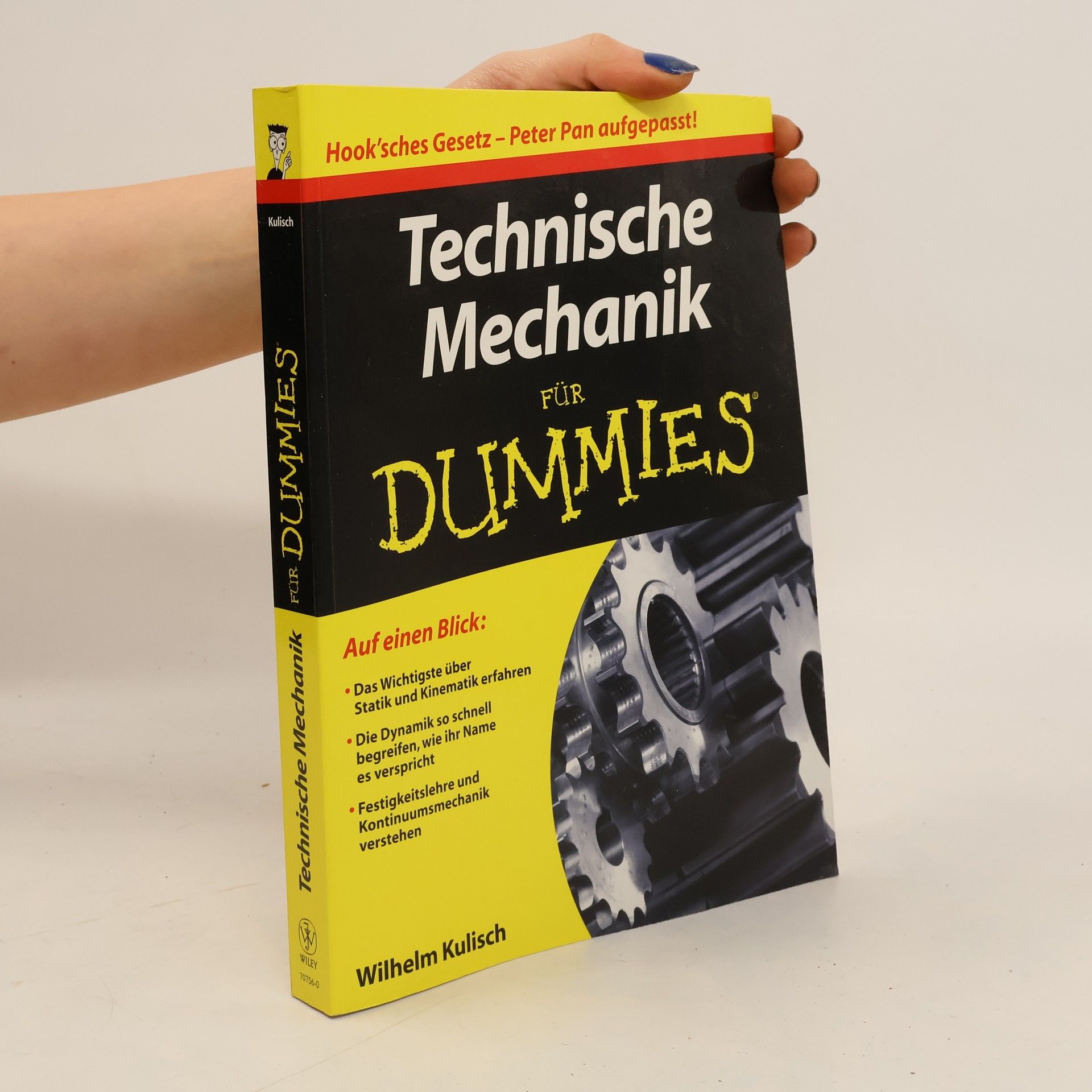 Wilhelm Kulisch Technische Mechanik FÜR DUMMIES