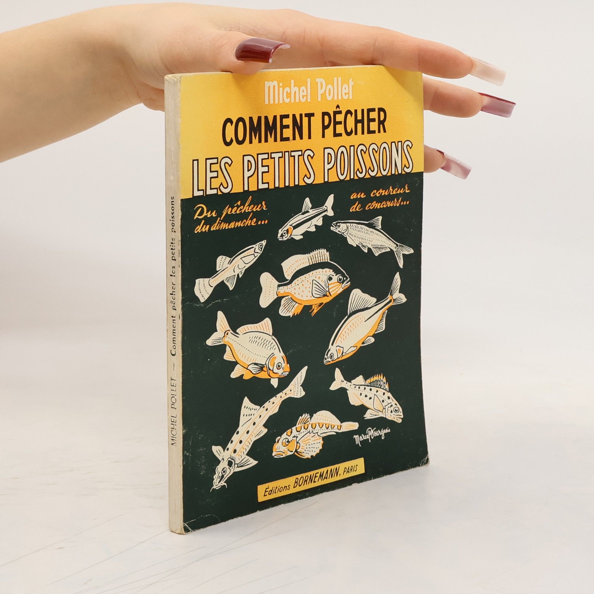 Michel Pollet Comment pêcher les petits poissons