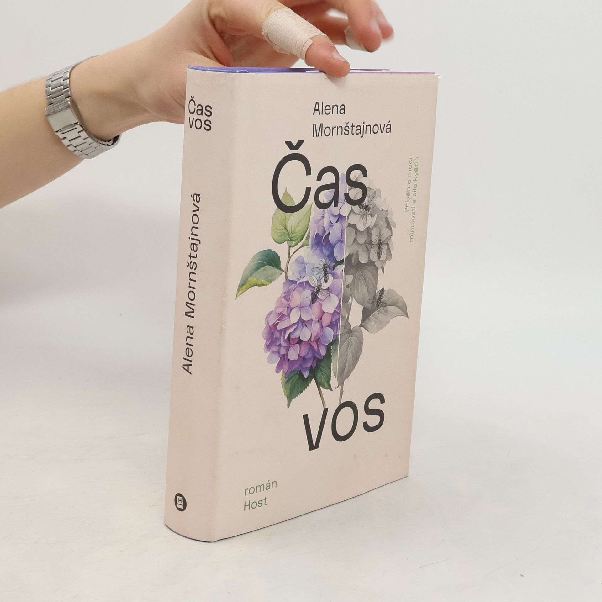 Alena Mornštajnová Čas vos