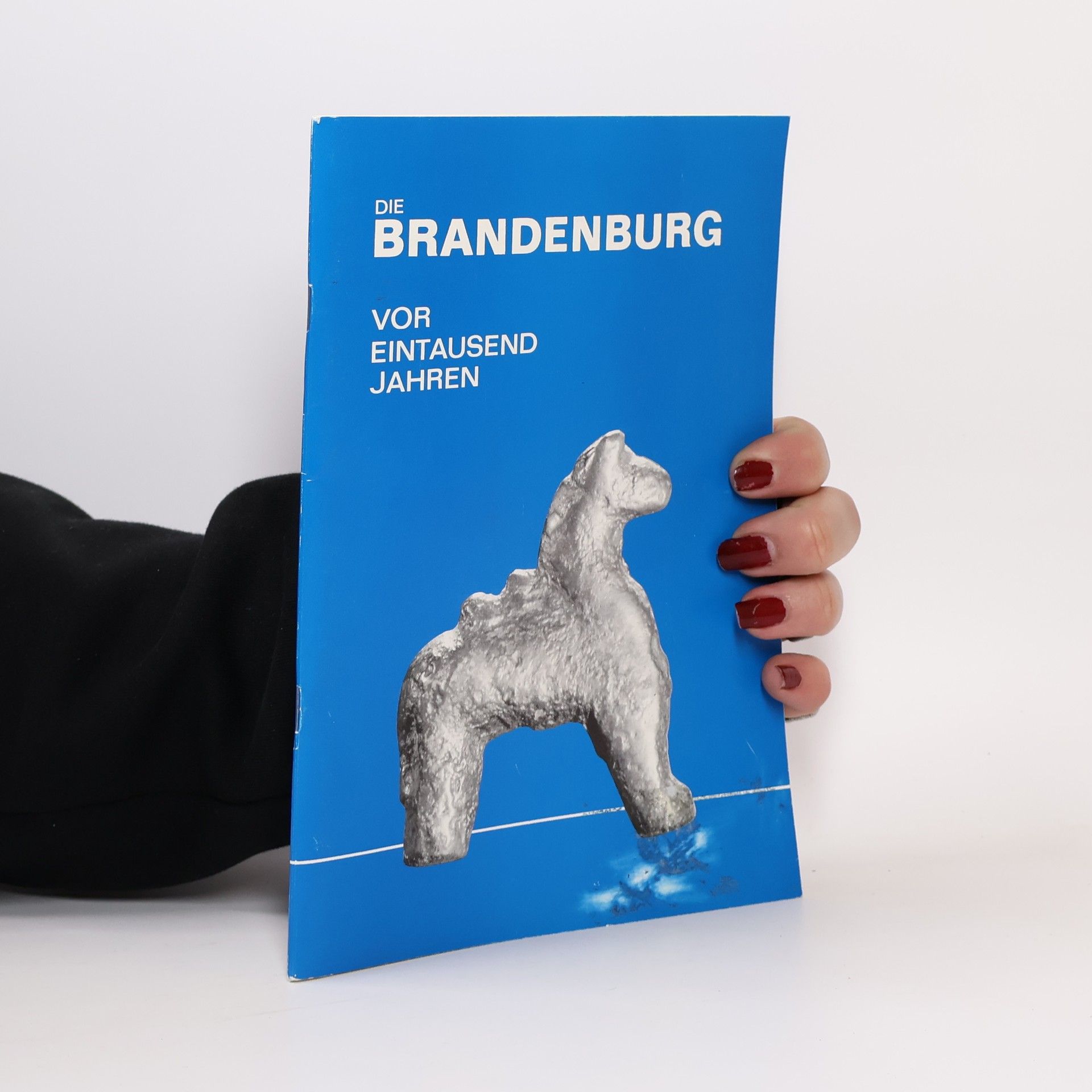 Klaus Grebe Die Brandenburg vor 1000 Jahren