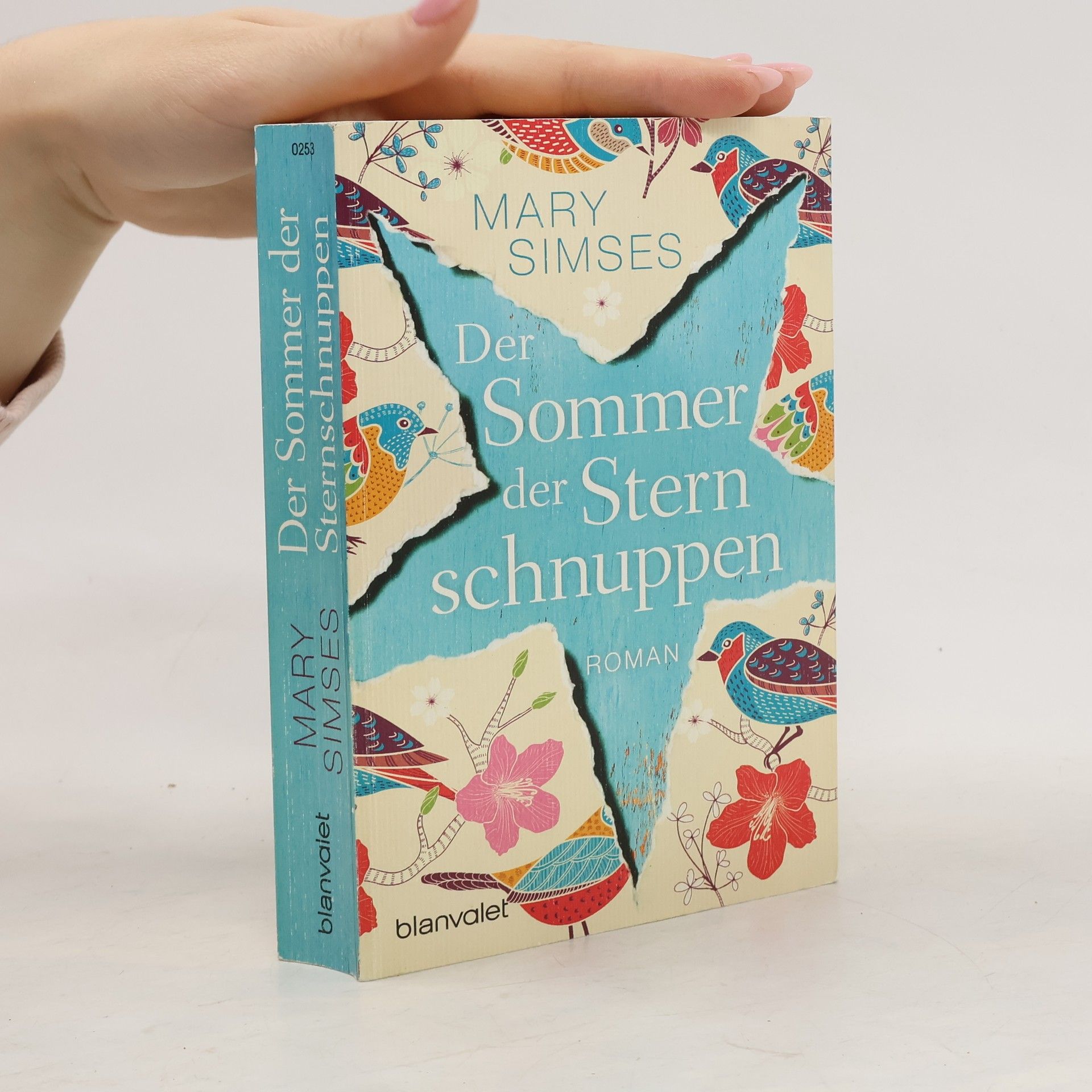 Der Sommer der Sternschnuppen