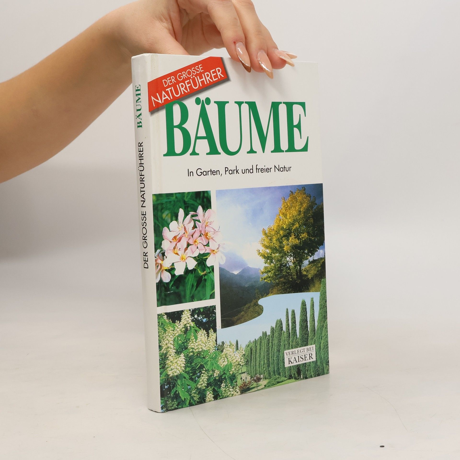 Bäume. In Garten, Park und freier Natur