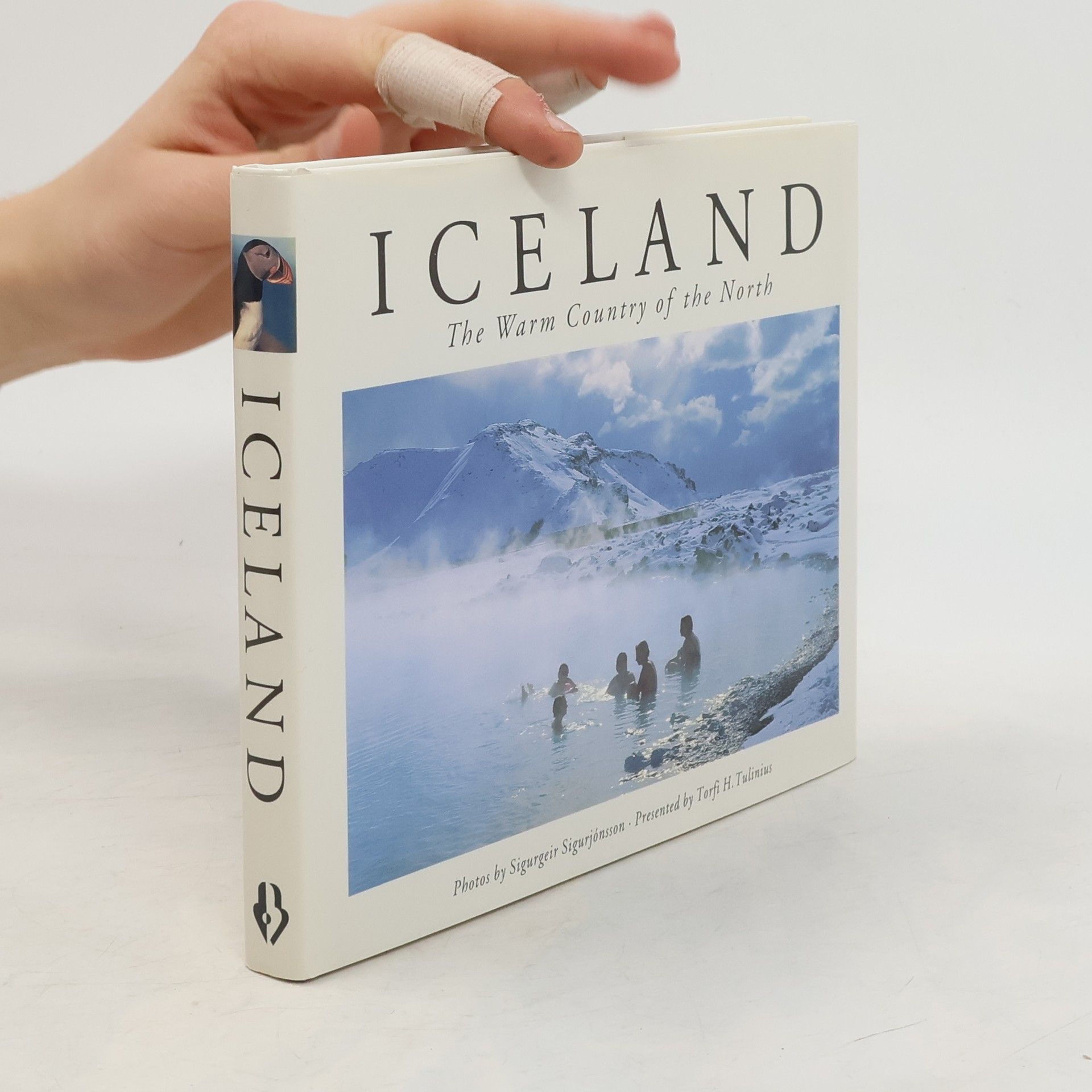 Torfi H. Tulinius Iceland - The Warm Country of the North