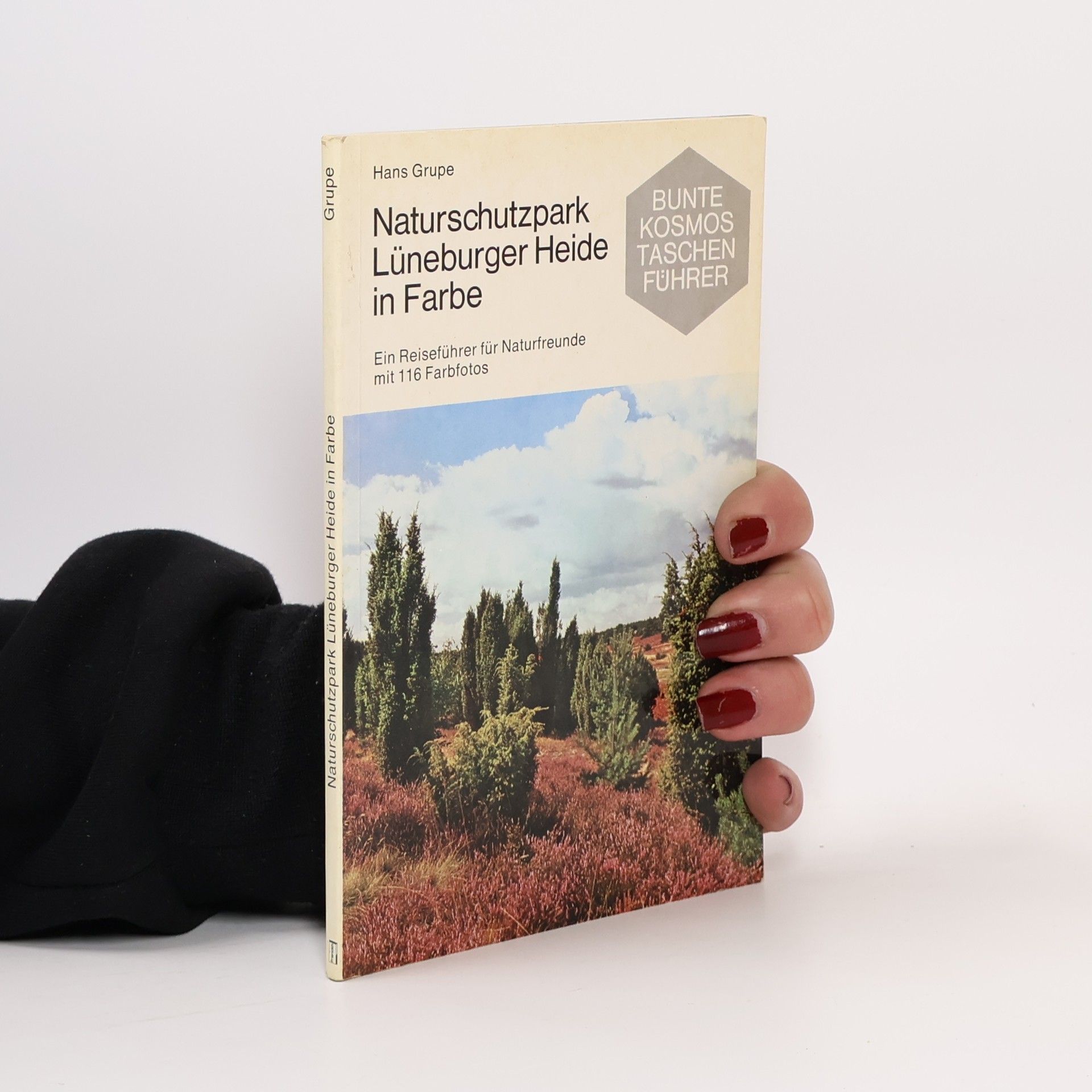 Hans Gruppe Naturschutzpark Lüneburger Heide in Farbe