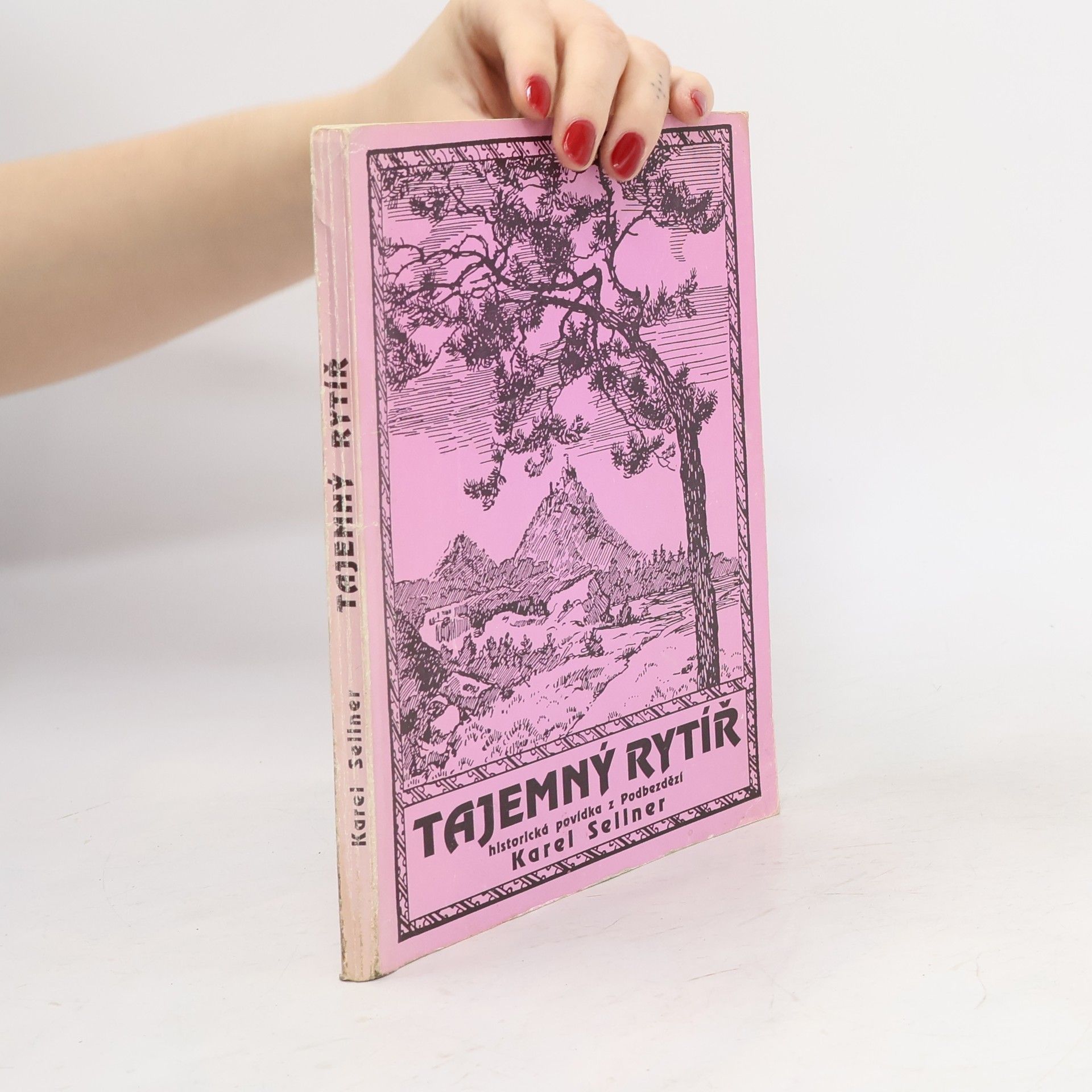 Jan Sellner Tajemný rytíř