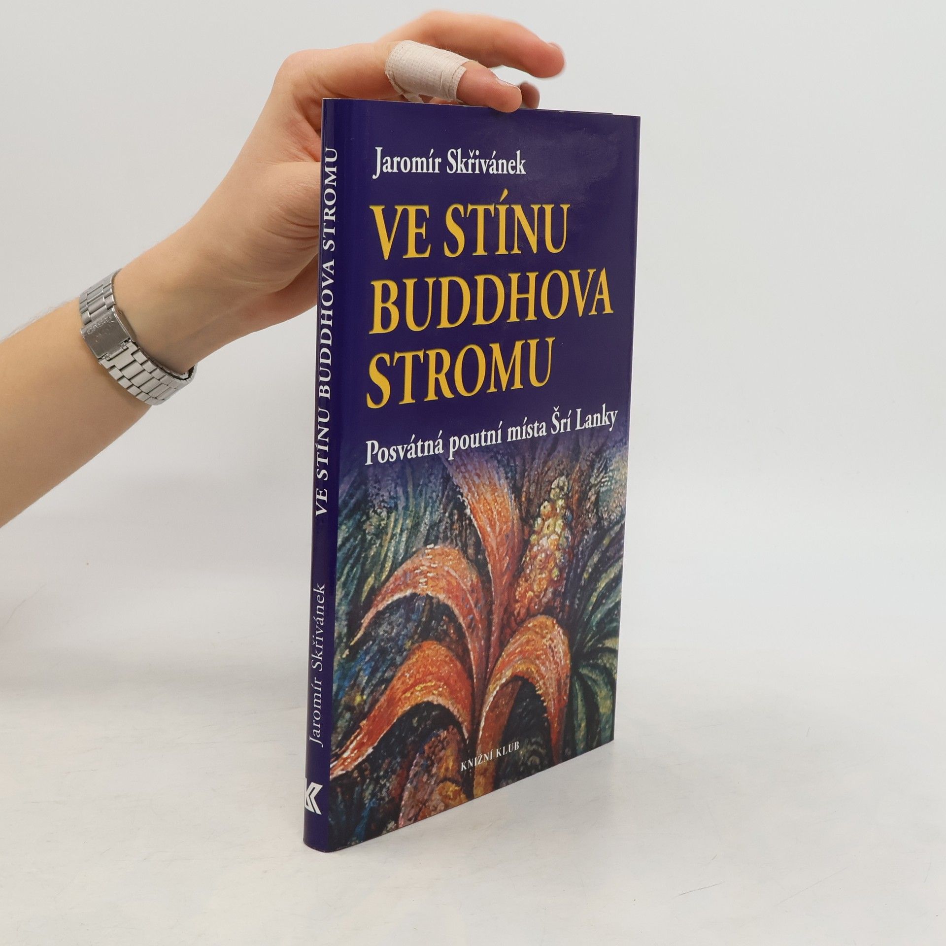 Jaromír Skřivánek Ve stínu Buddhova stromu. Posvátná poutní místa Šrí Lanky