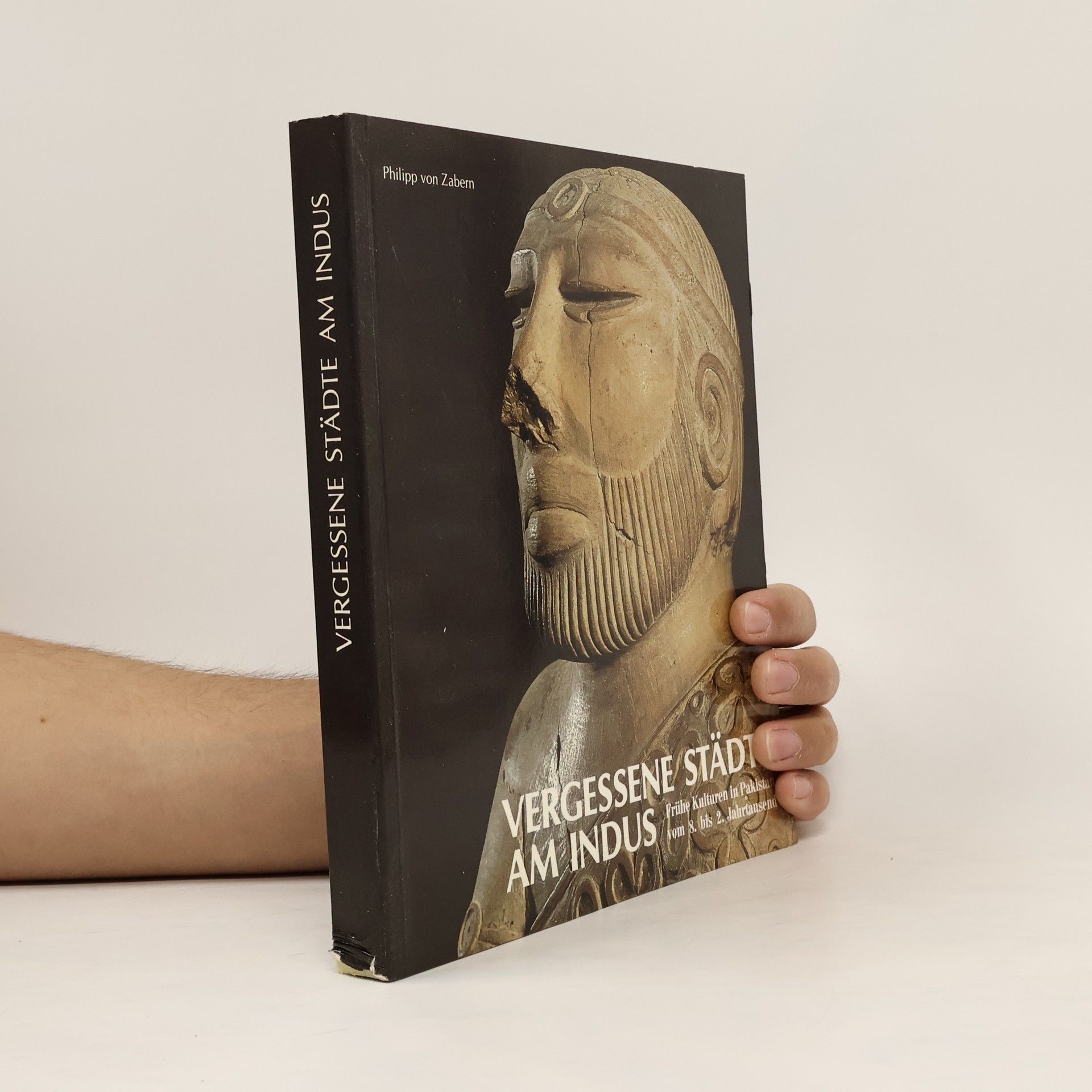 Collectif d'auteurs Vergessene Städte am Indus