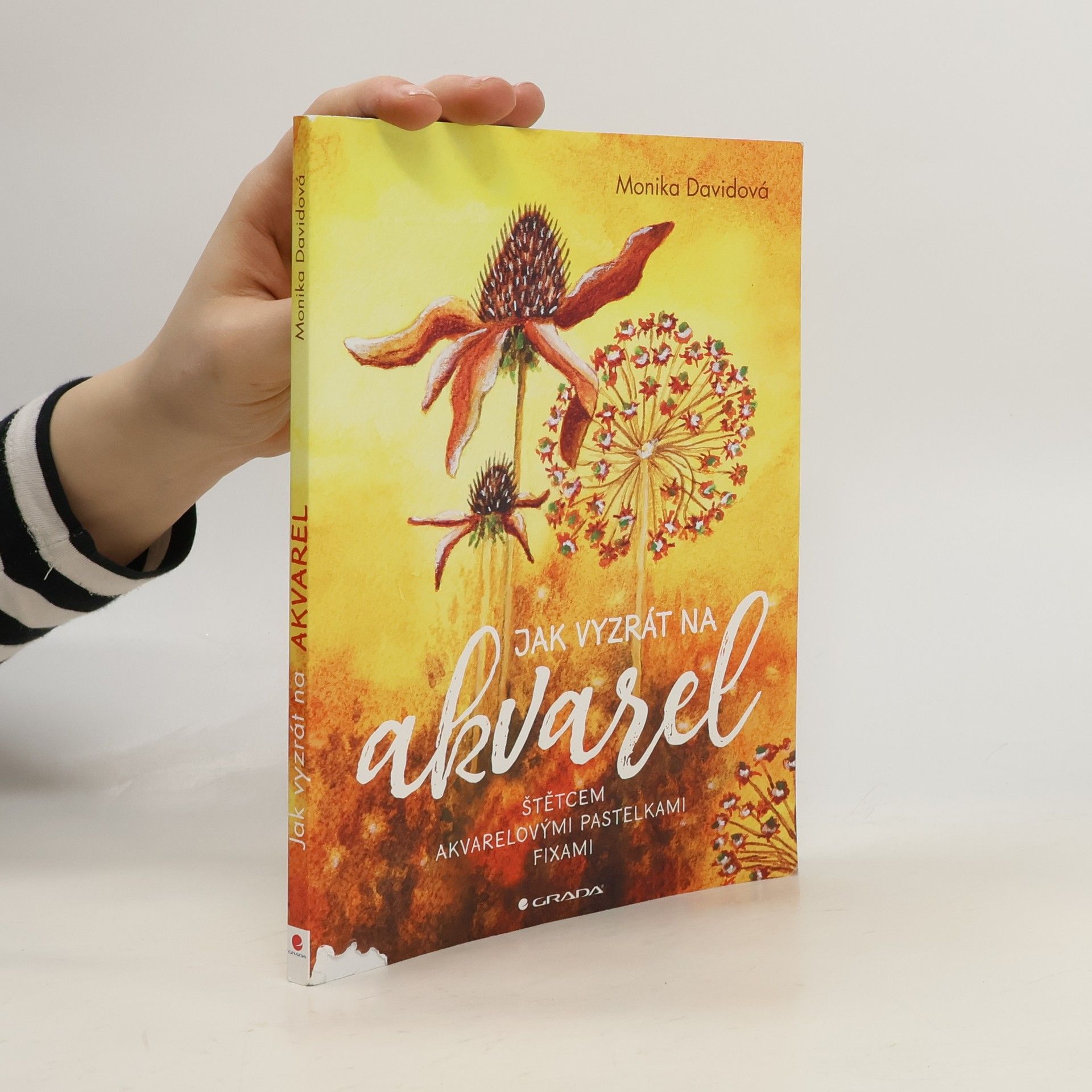 Monika Davidová Jak vyzrát na akvarel : štětcem, akvarelovými pastelkami, fixami