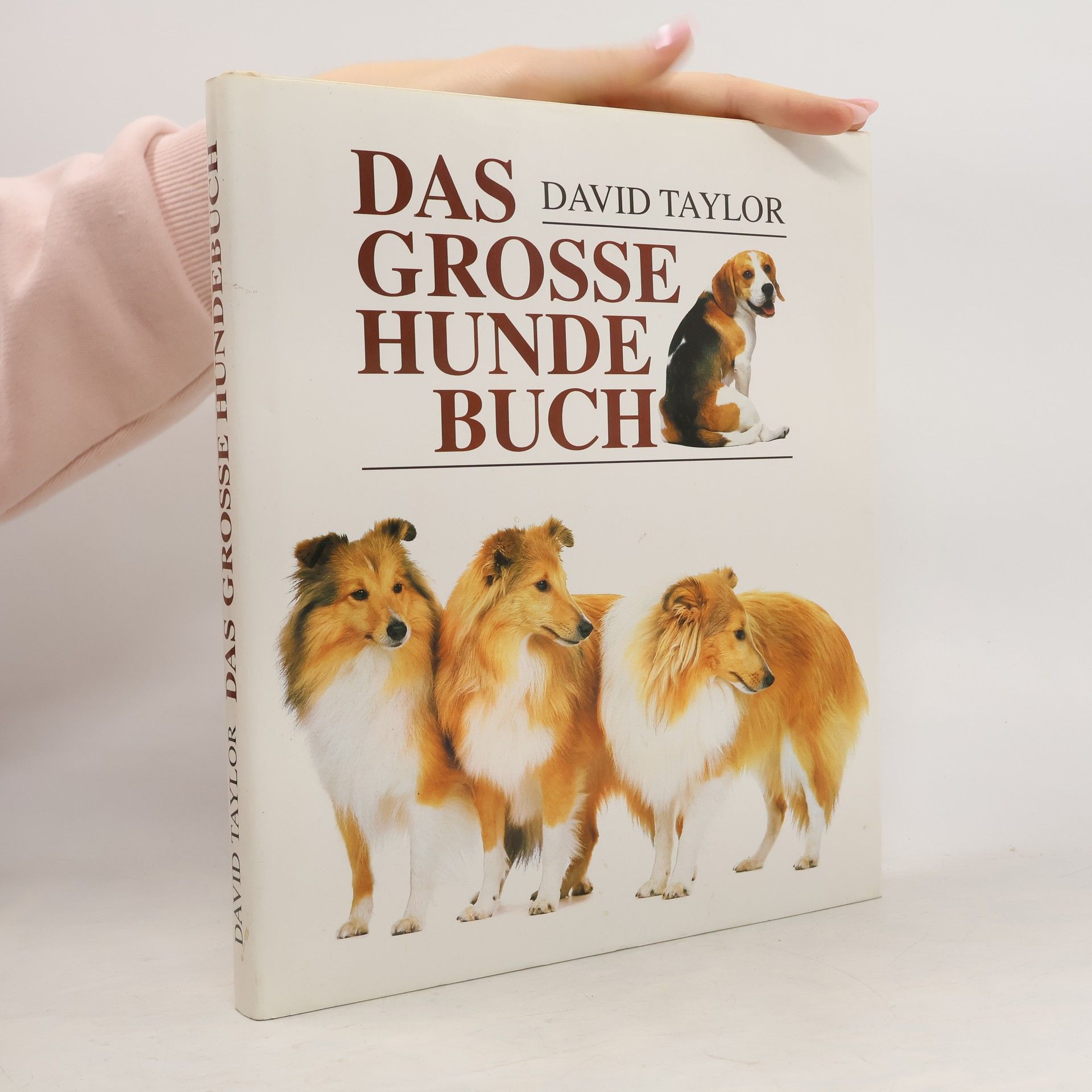 David Conrad Taylor Das grosse Hunde Buch