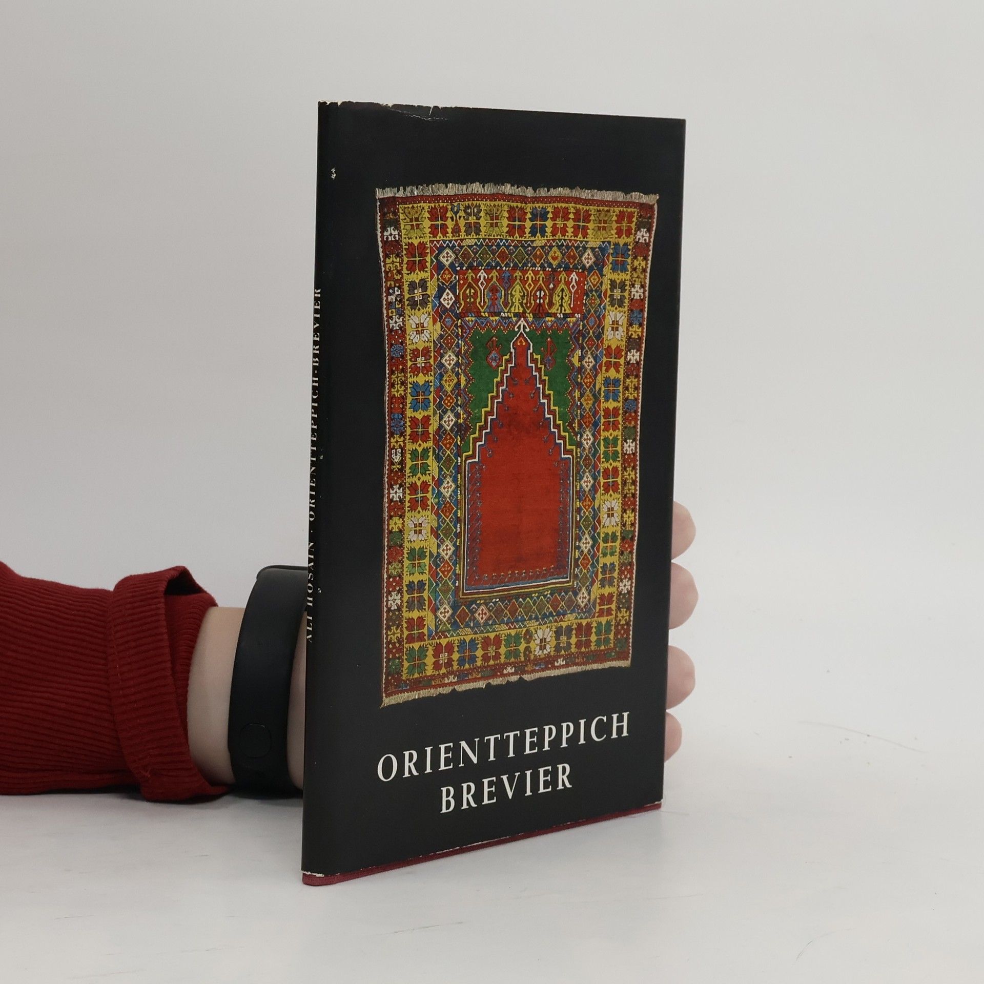 Ali Hosain Orientteppich-Brevier