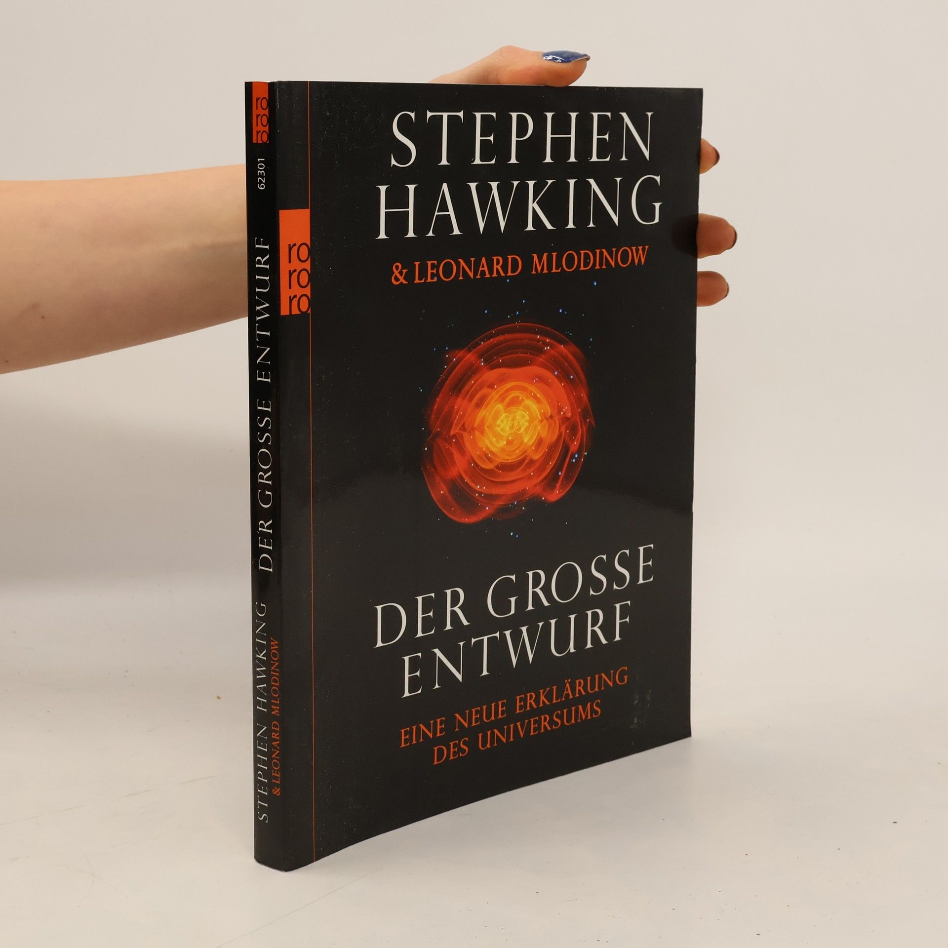 Stephen Hawking Der grosse Entwurf