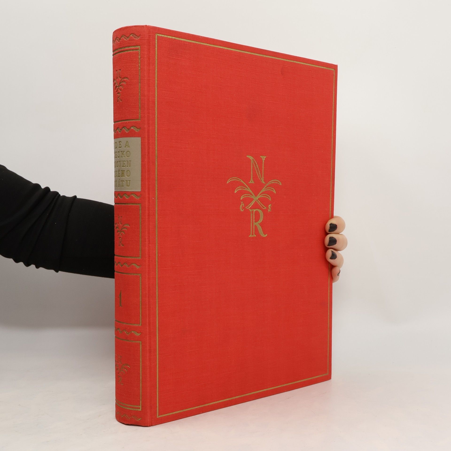 Kolektiv autorů Idea Československého státu