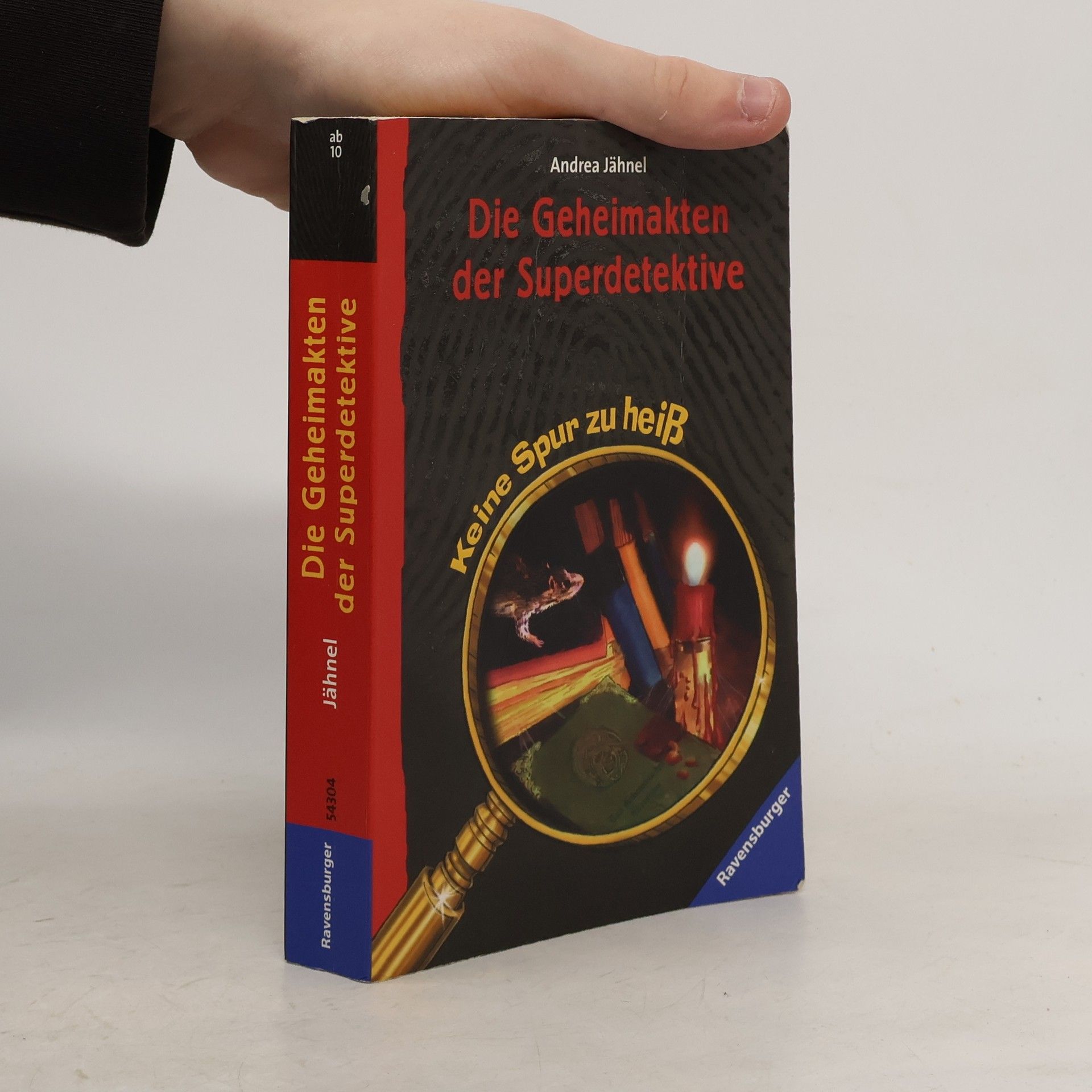 Die Geheimakten der Superdetektive