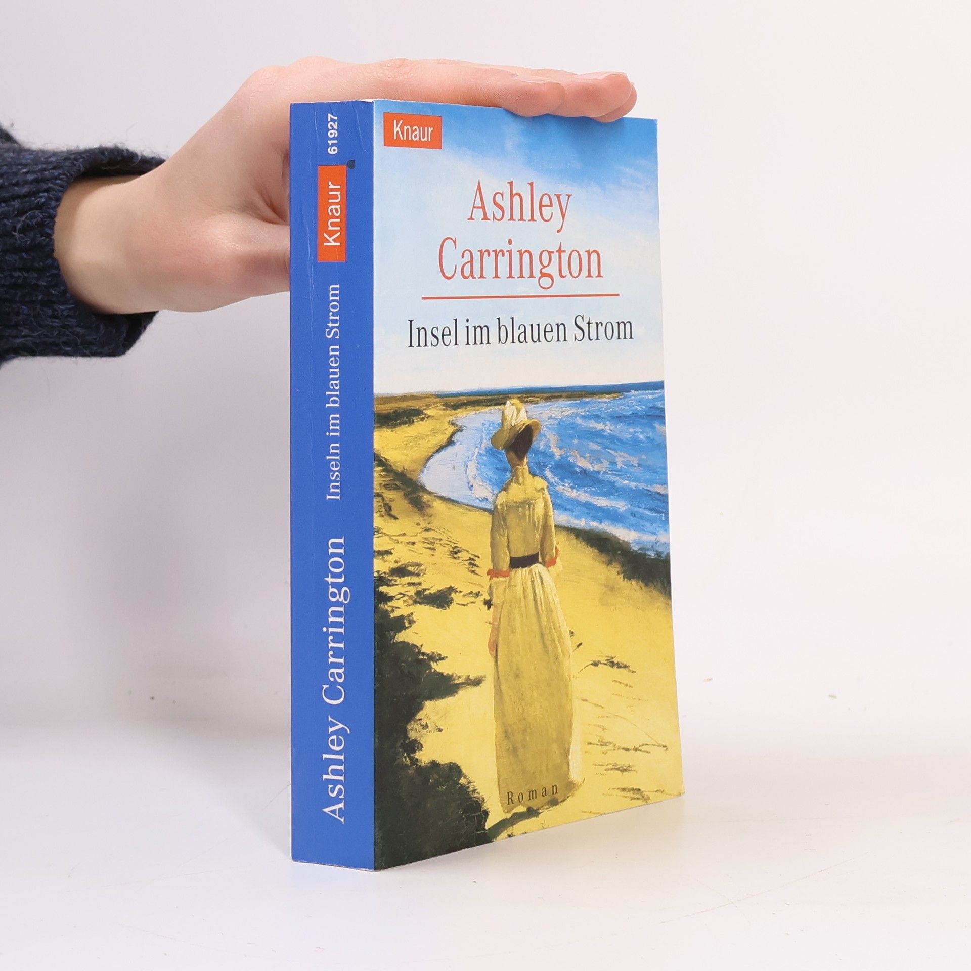 Rainer M. Schröder Insel im blauen Strom