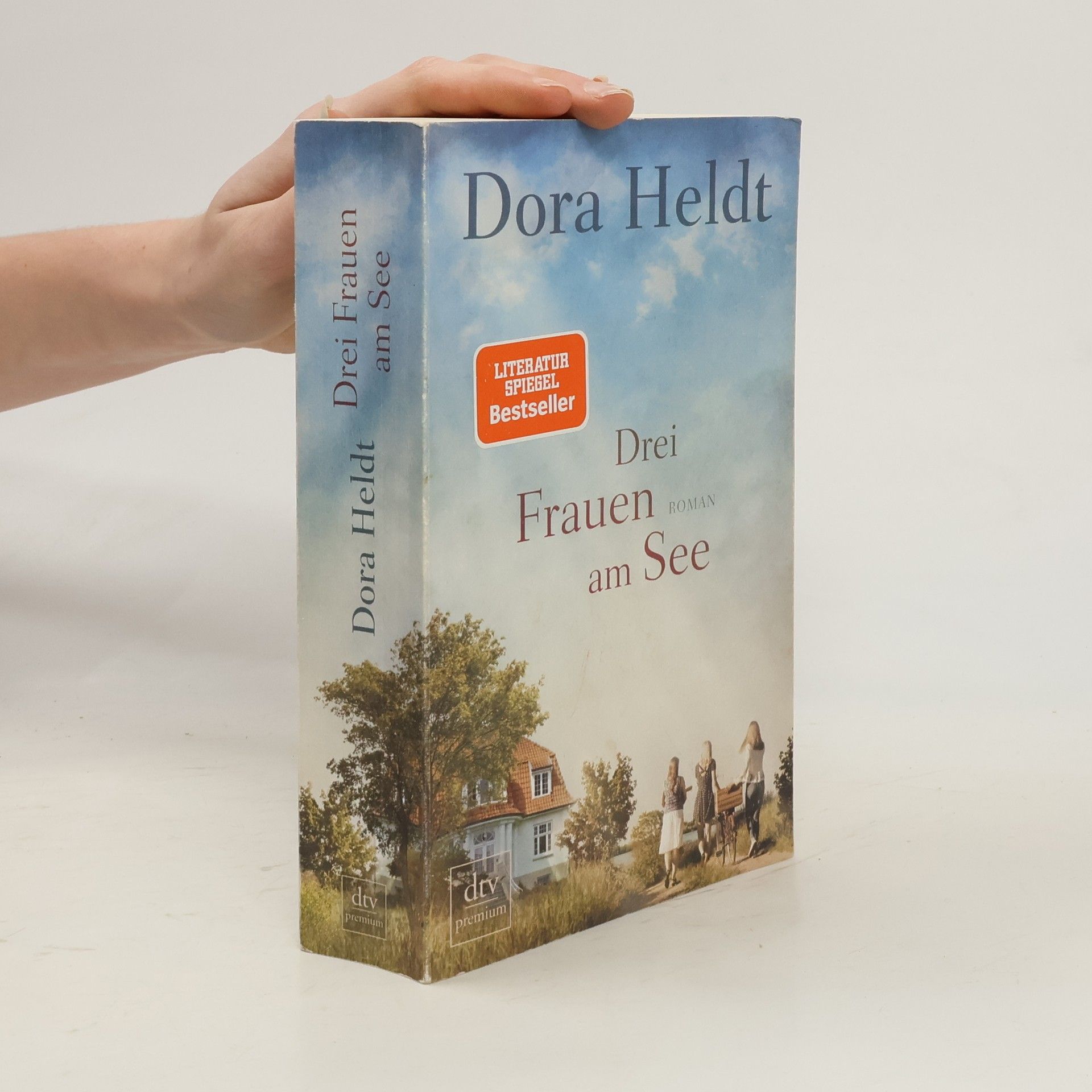 Dora Heldt Drei Frauen am See