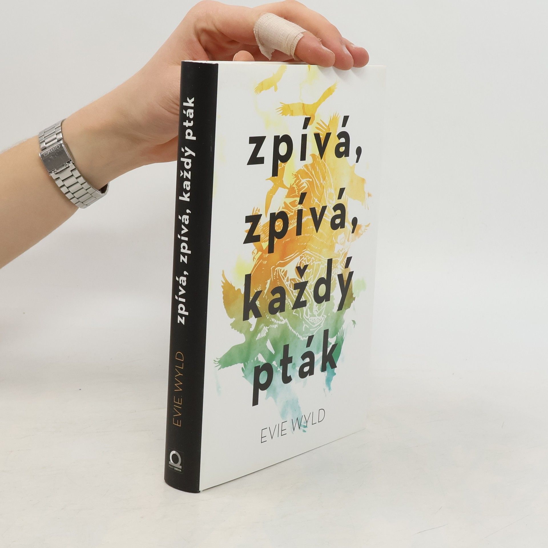 Zpívá, zpívá každý pták