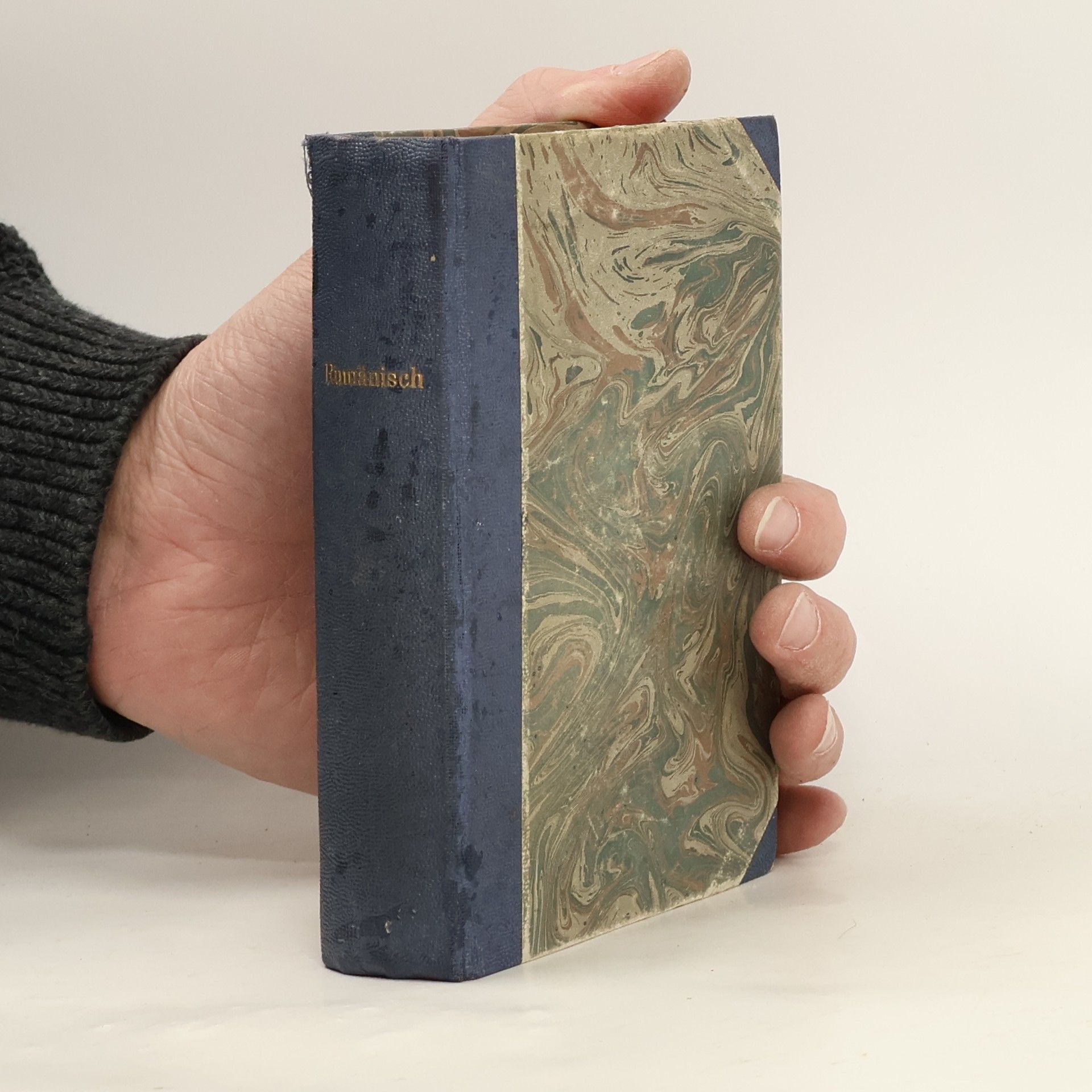 Ghita Pop Langenscheidts Taschenwörterbuch