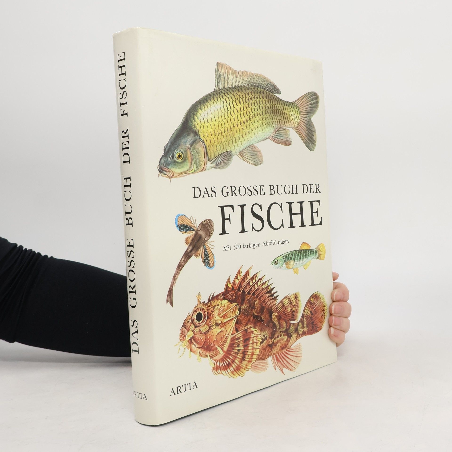 Das Grosse buch der fishe