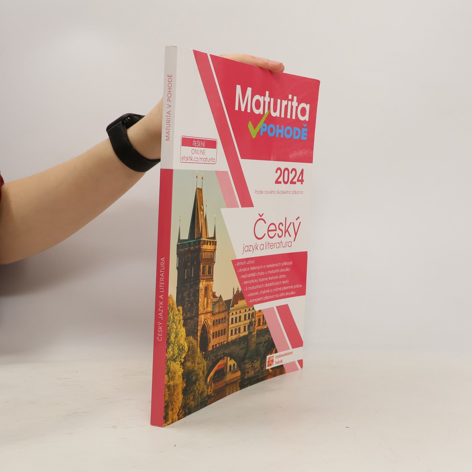 Autorenkollektiv Maturita v pohodě. Český jazyk a literatura