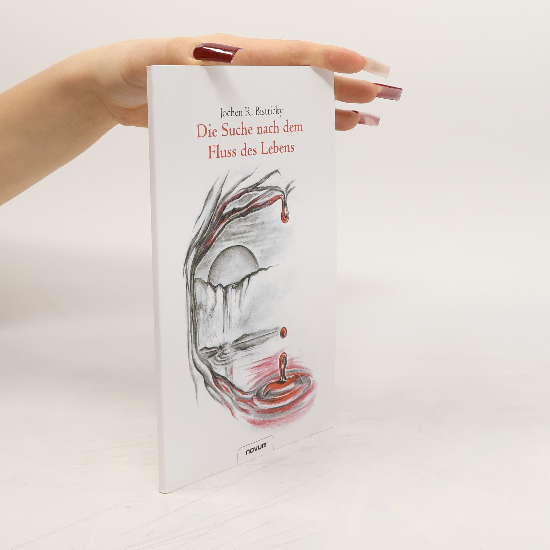 Jochen R. Bistricky Die Suche nach dem Fluss des Lebens